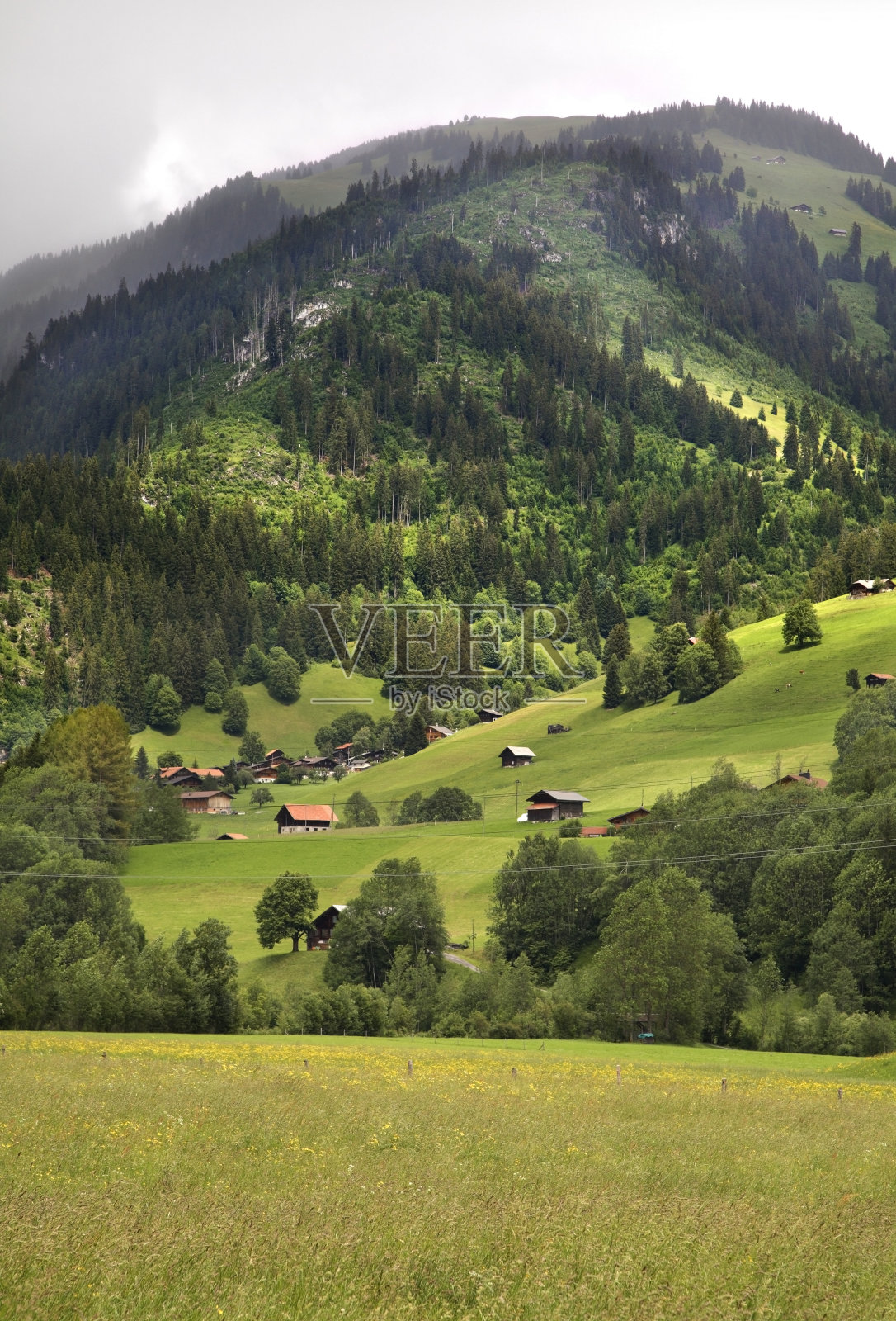 伯尔尼州的景观。瑞士照片摄影图片
