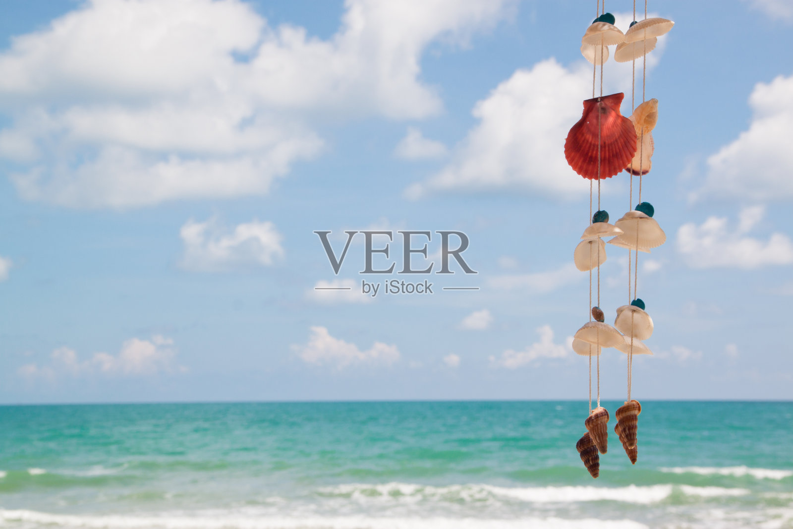 美丽的海滩上挂着贝壳照片摄影图片