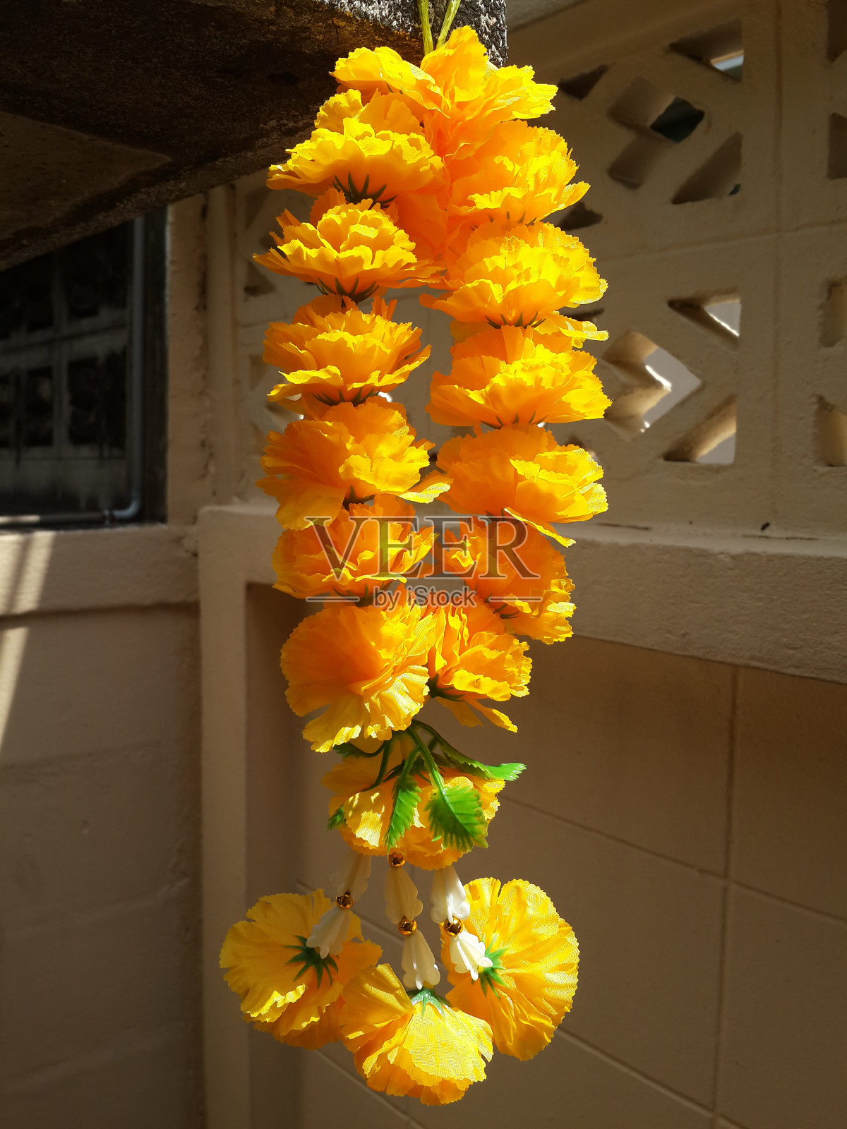 人工万寿菊鲜花照片摄影图片