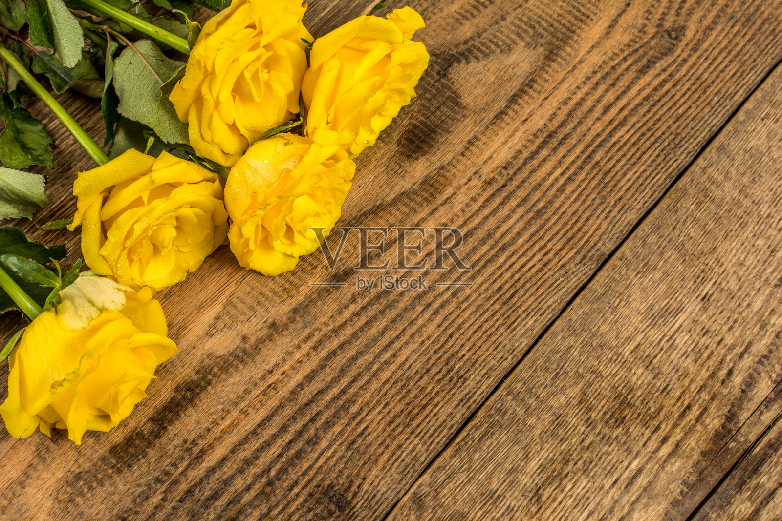 黄玫瑰照片摄影图片