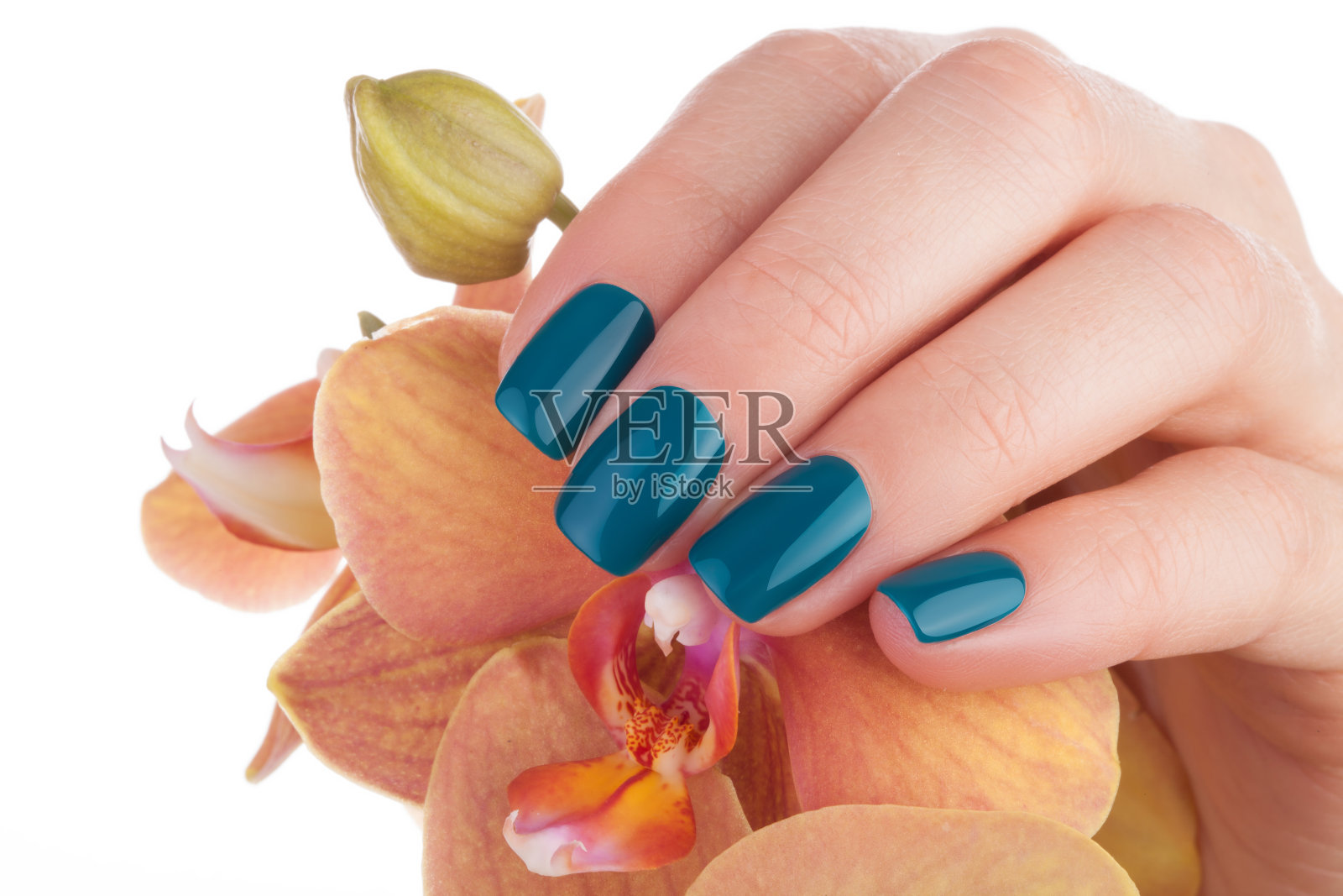 漂亮整洁的绿色指甲。照片摄影图片