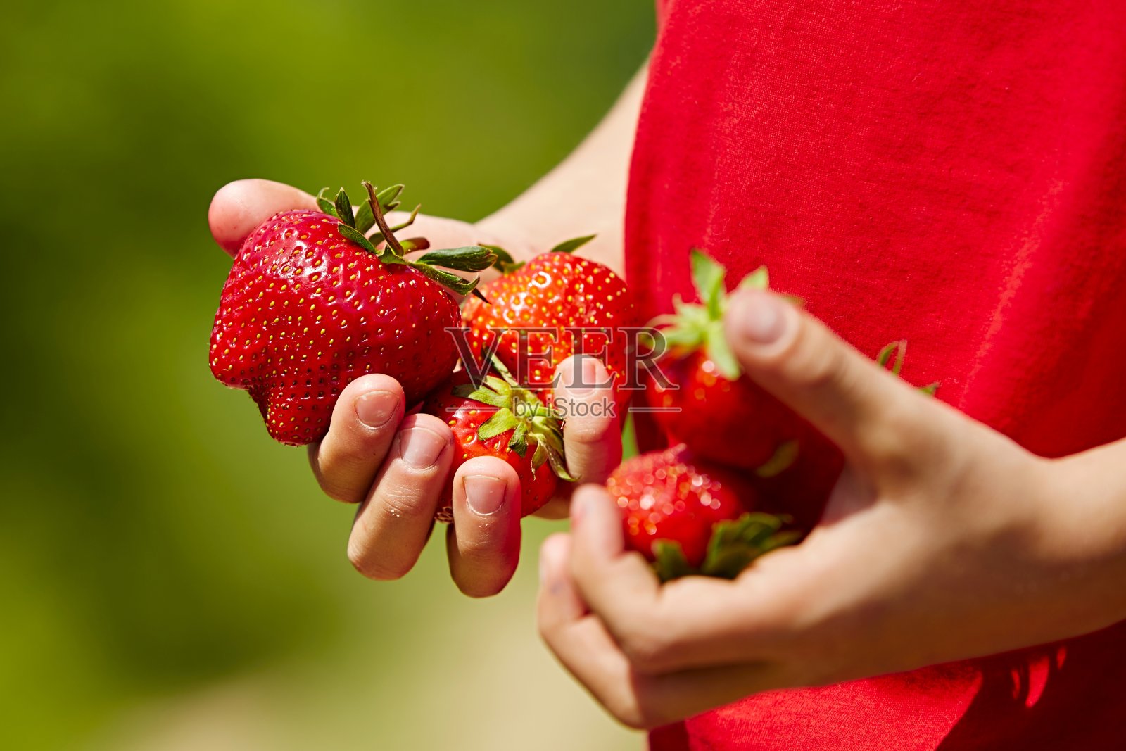 拿着草莓的男孩的手掌照片摄影图片