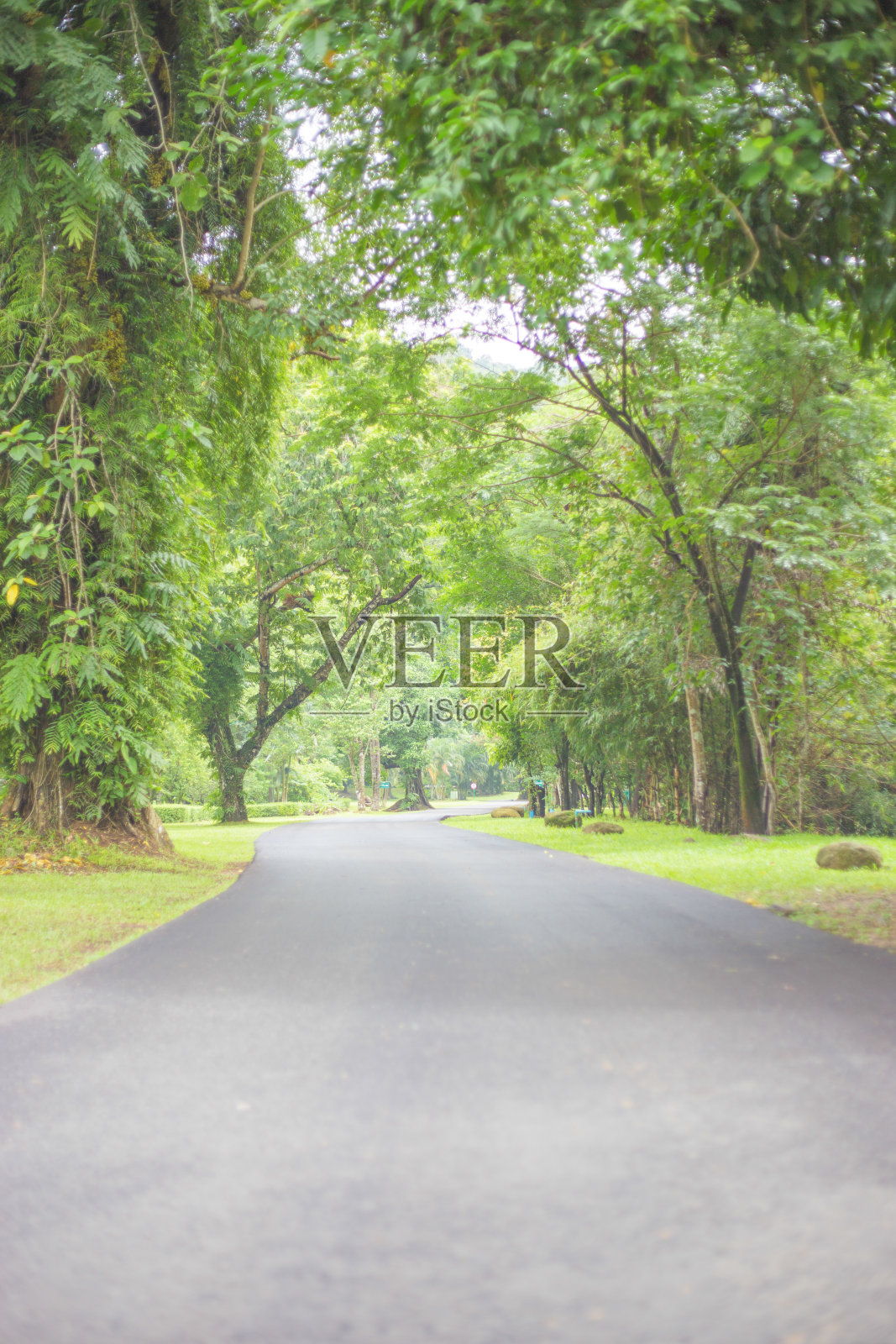 夏日公园里的路。照片摄影图片