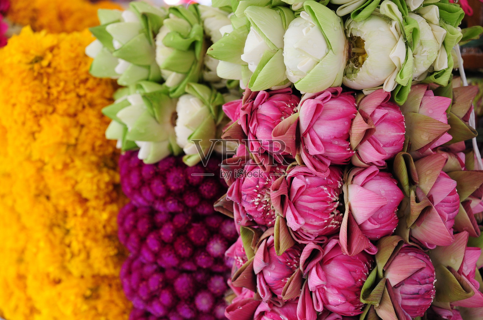 莲花和鲜花在佛寺祈祷照片摄影图片
