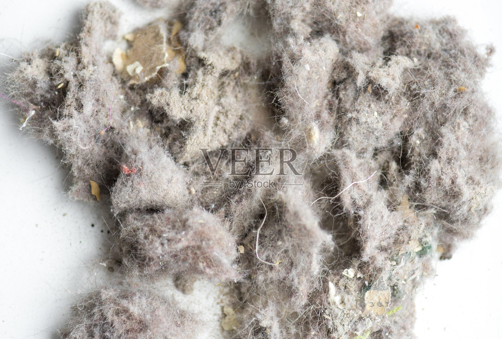 特写灰尘和污垢从一个真空吸尘器,纹理或背景照片摄影图片