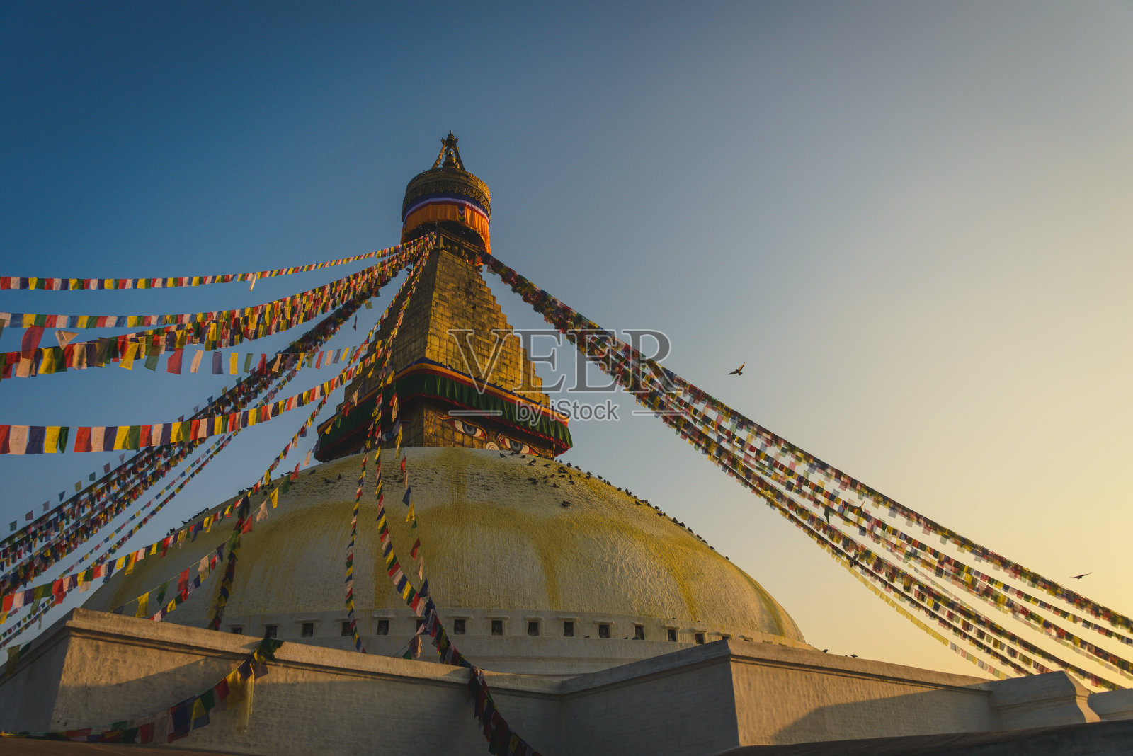 布达纳特早晨照片摄影图片