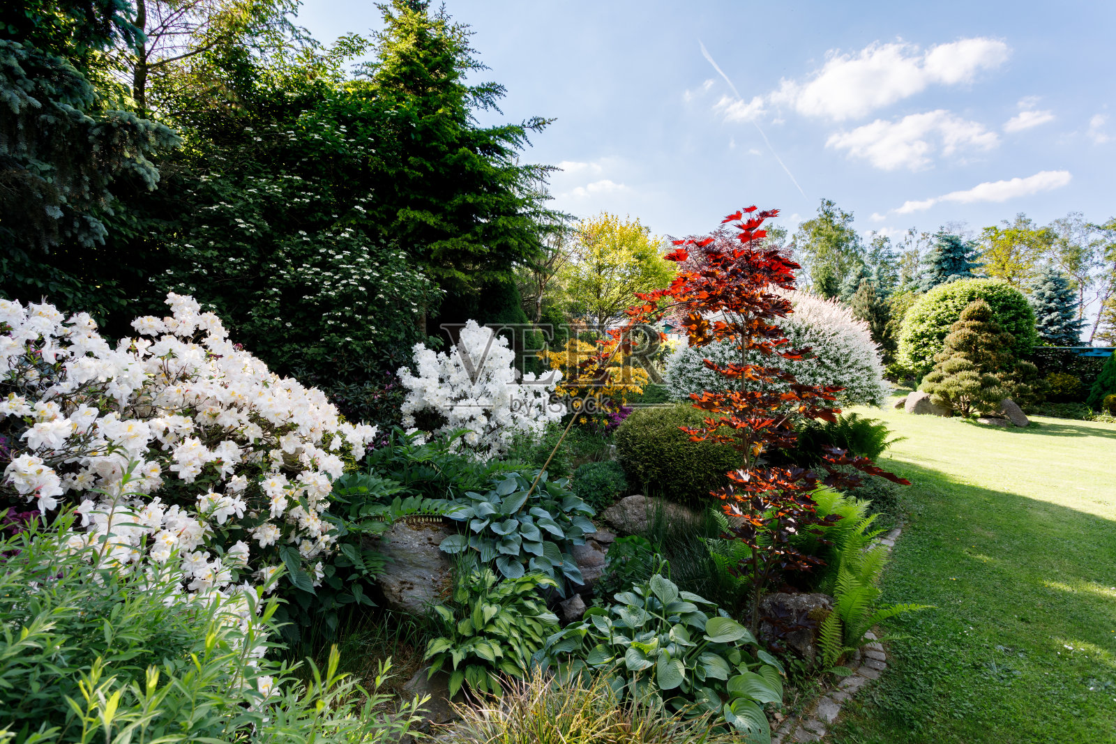 丰富多彩的春天花园照片摄影图片