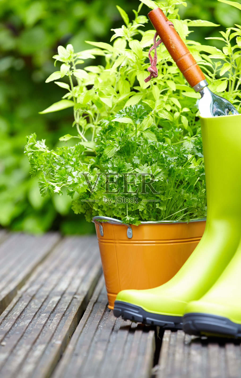 园艺工具照片摄影图片