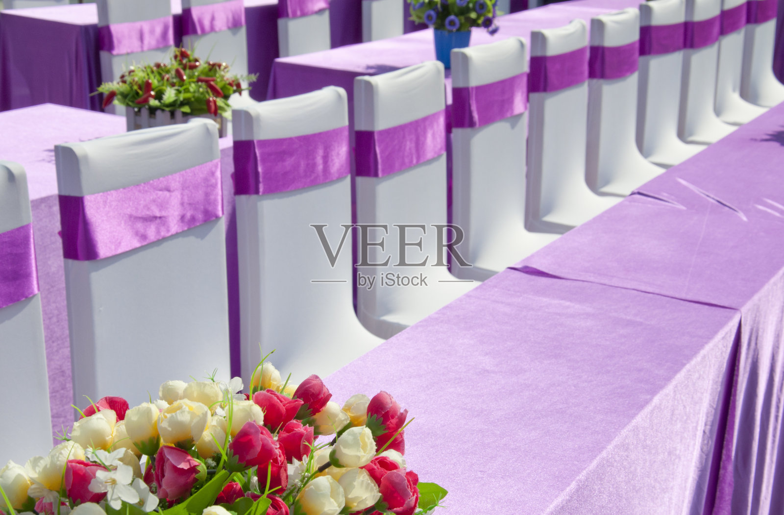 紫色带椅子照片摄影图片