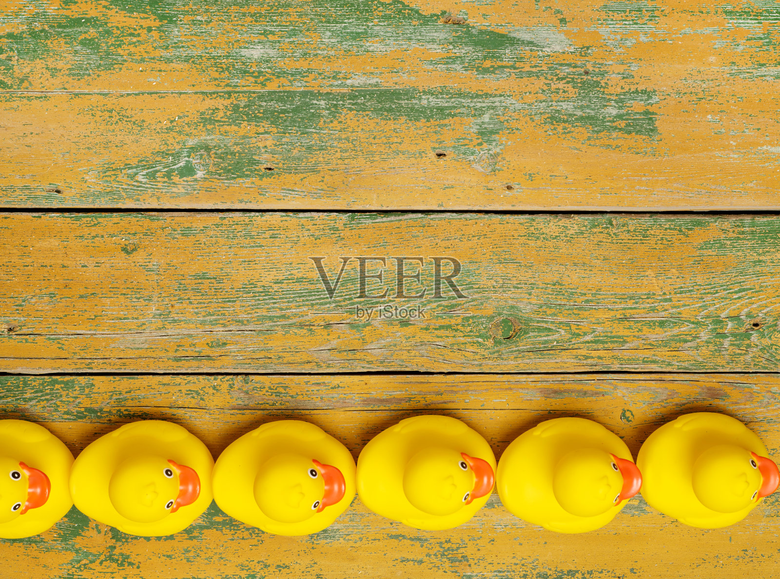 橡皮鸭排成一排照片摄影图片