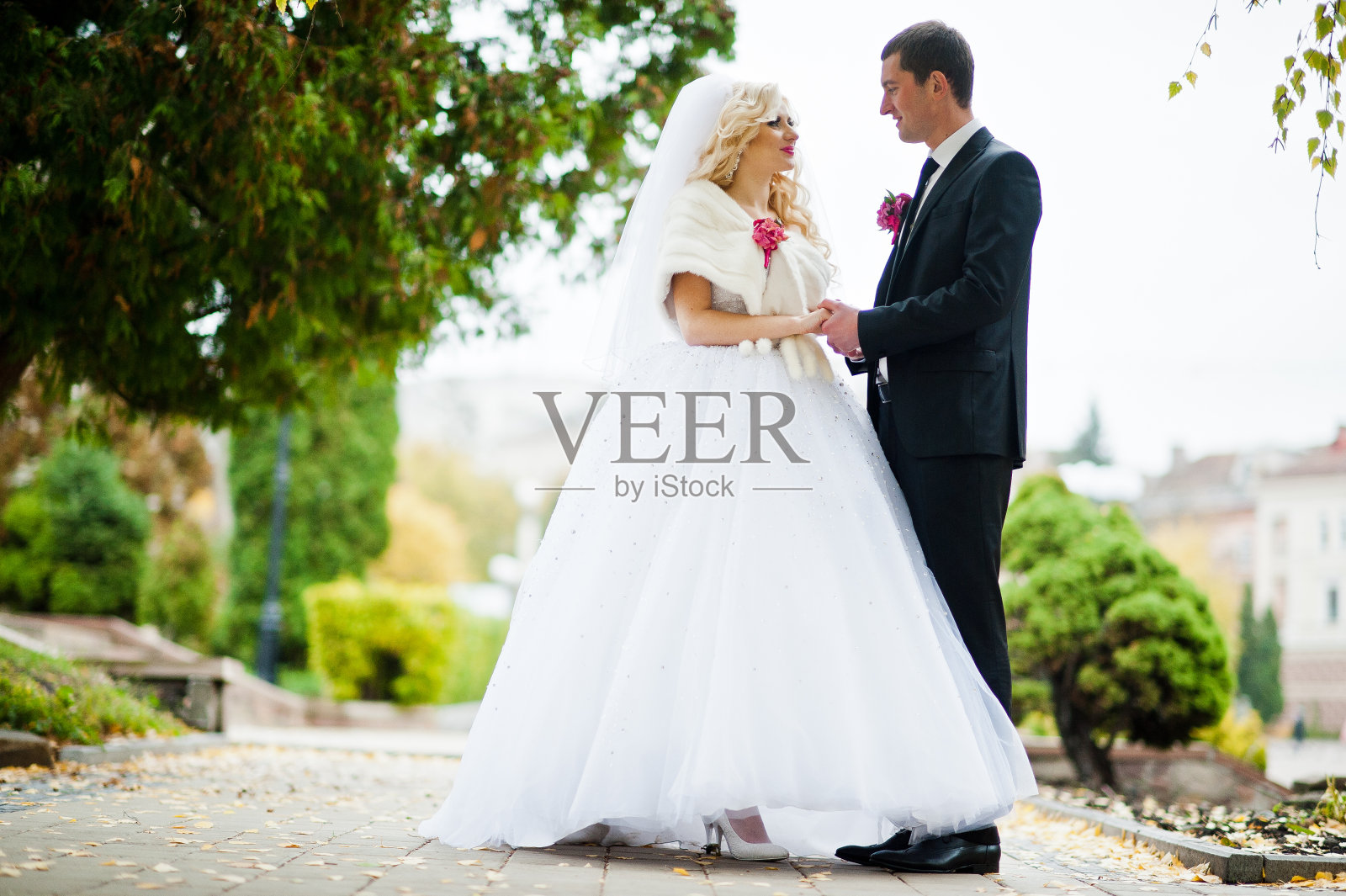 迷人的新婚夫妇背景金叶照片摄影图片