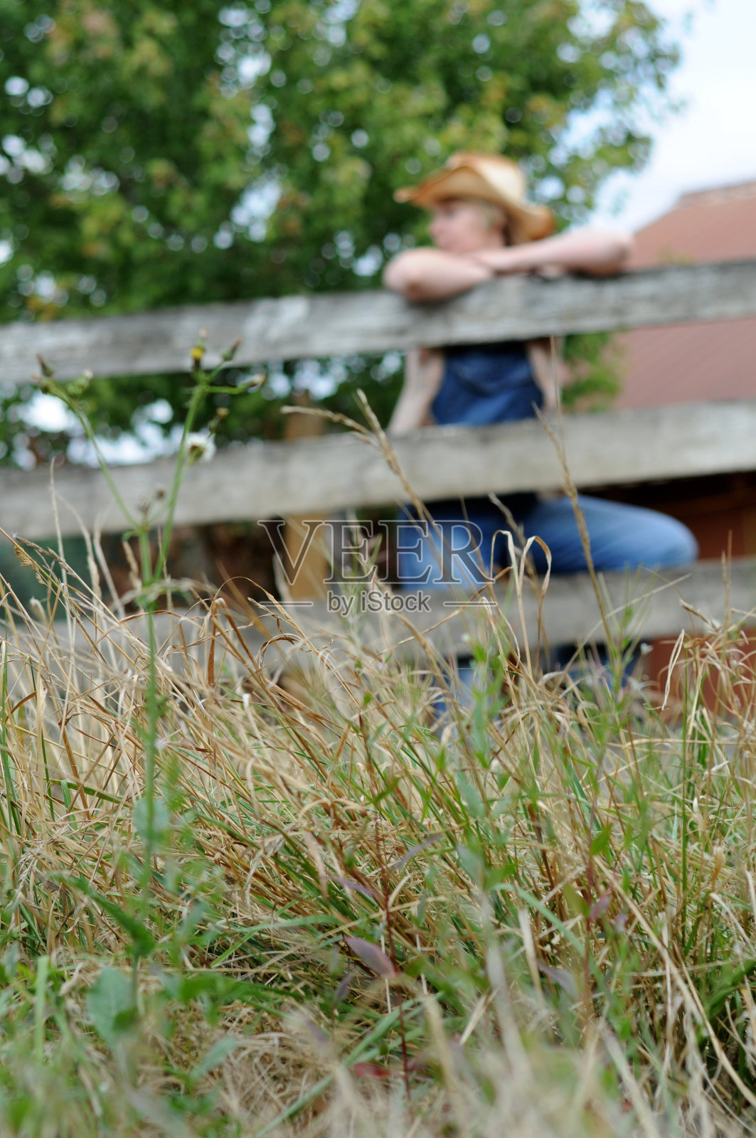 靠在篱笆上的女牛仔照片摄影图片