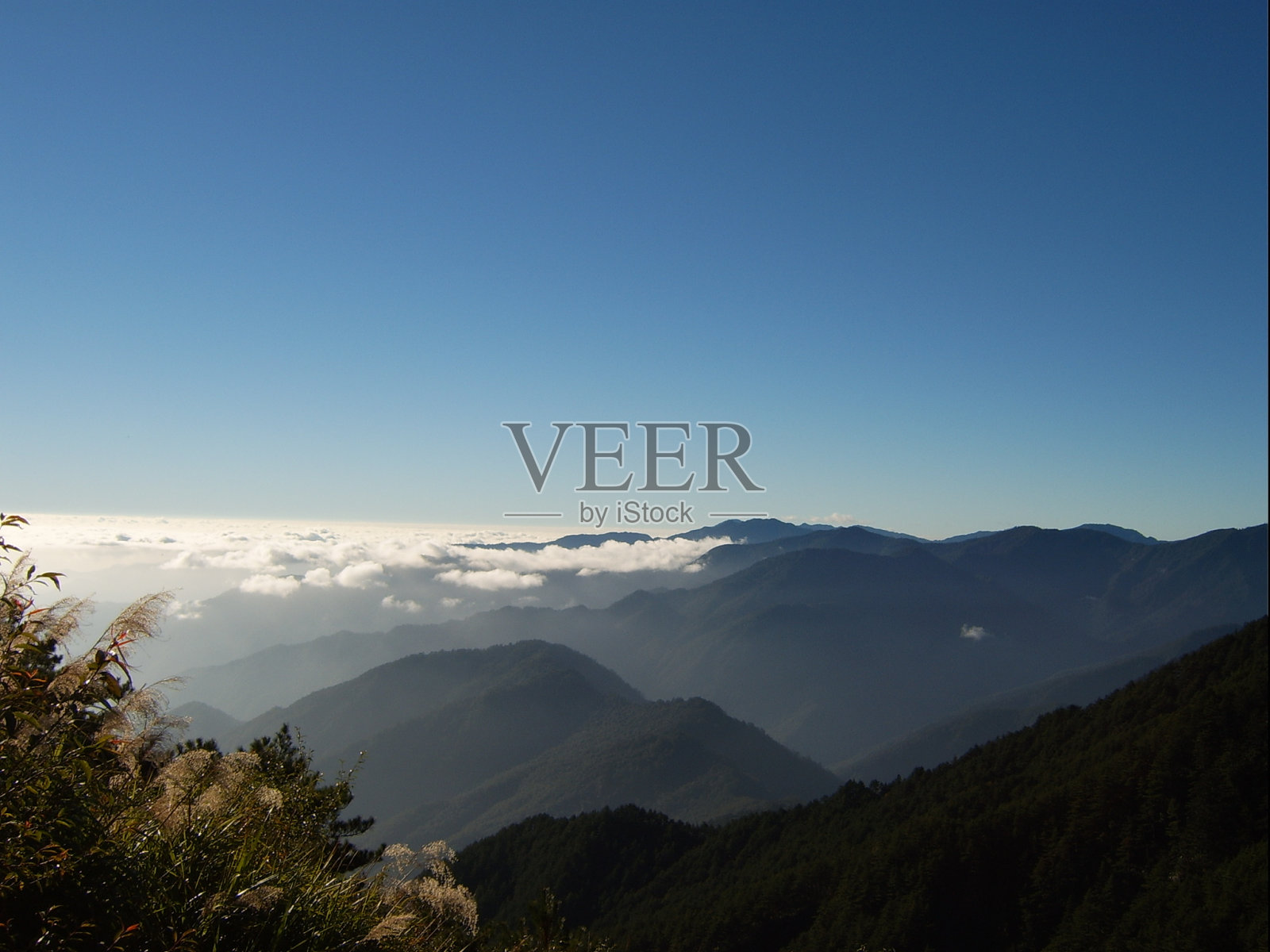 玉山(玉山)照片摄影图片