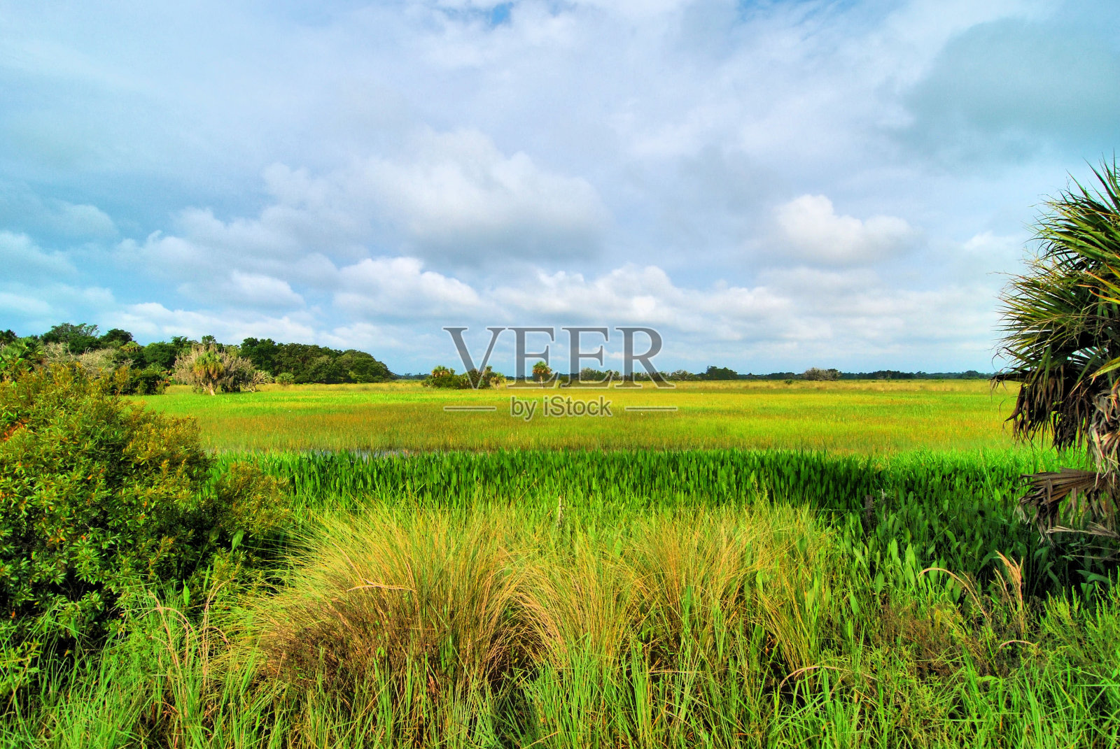 开放申请照片摄影图片