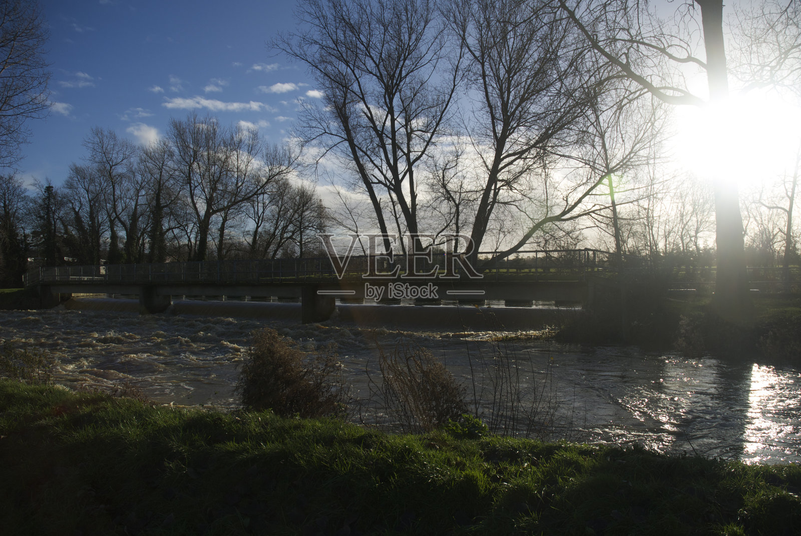 河水沿着公园流淌照片摄影图片
