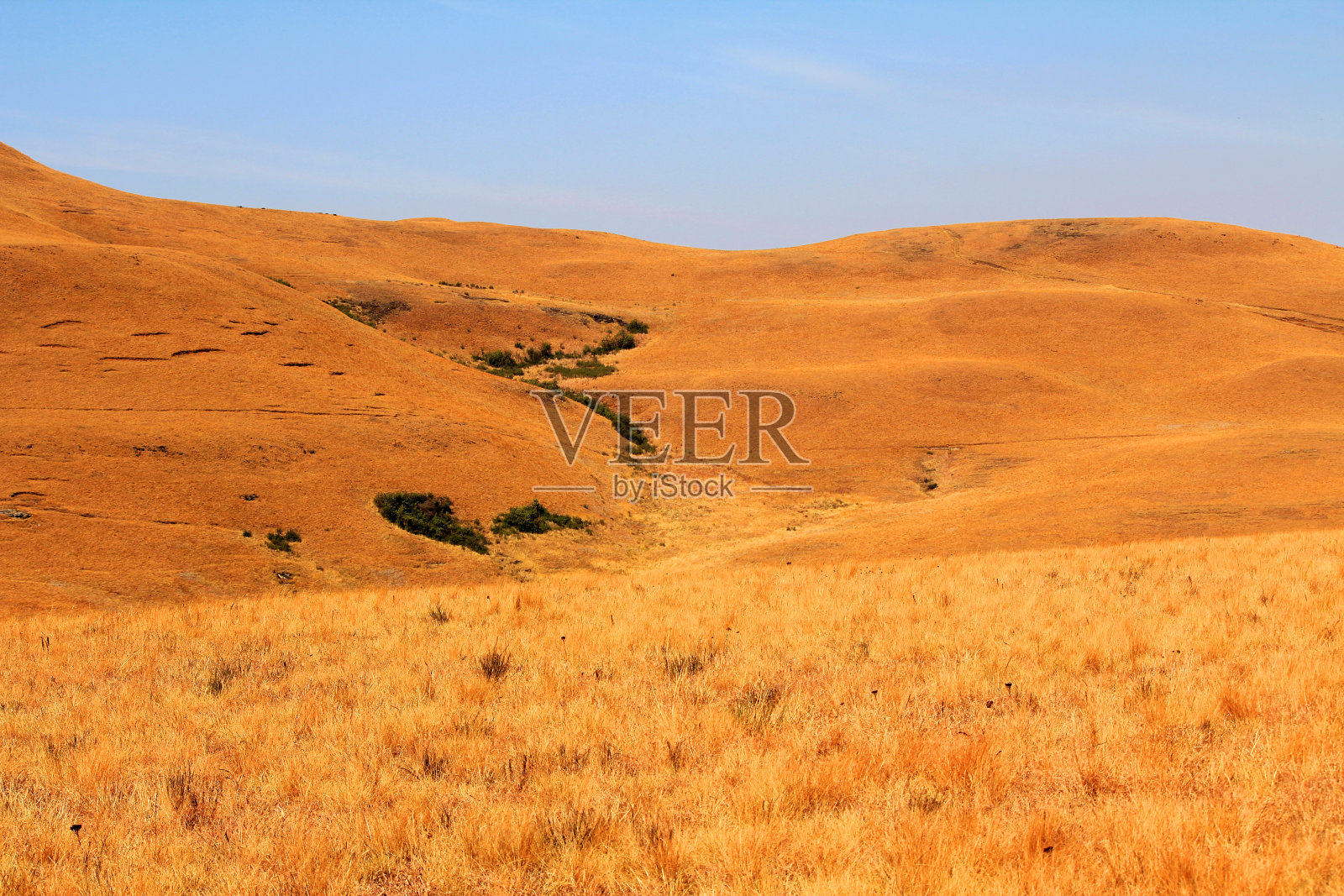 德拉肯斯堡-龙山脉景观照片摄影图片