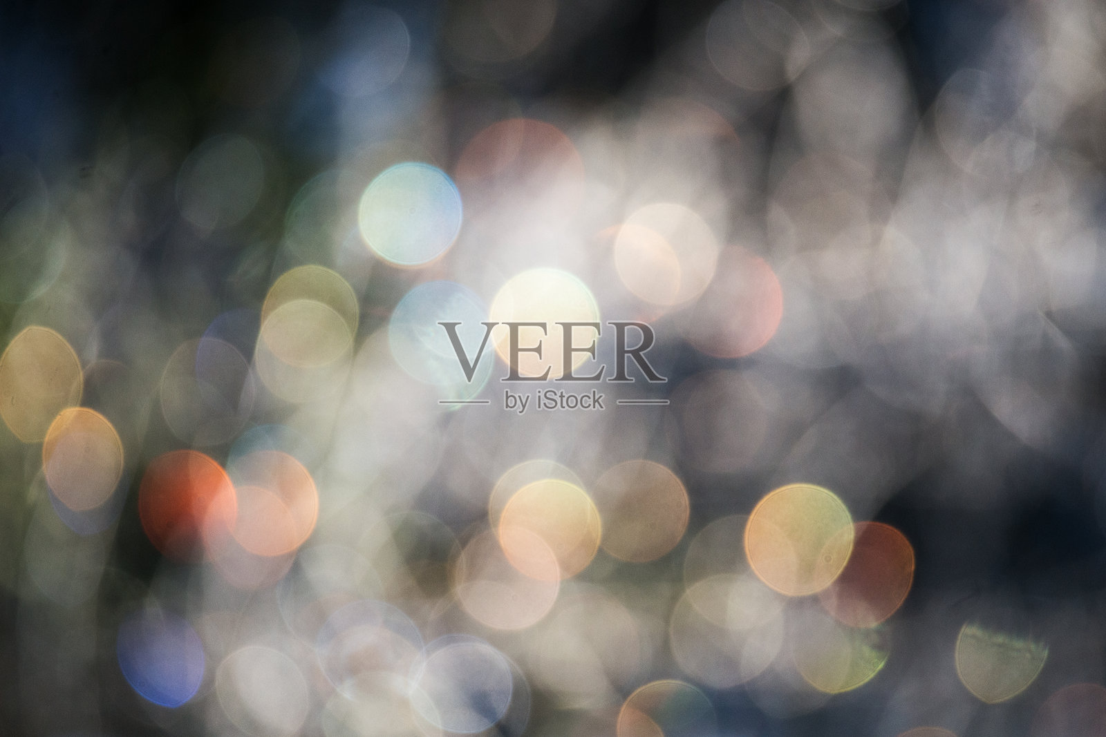 森林里的波凯照片摄影图片