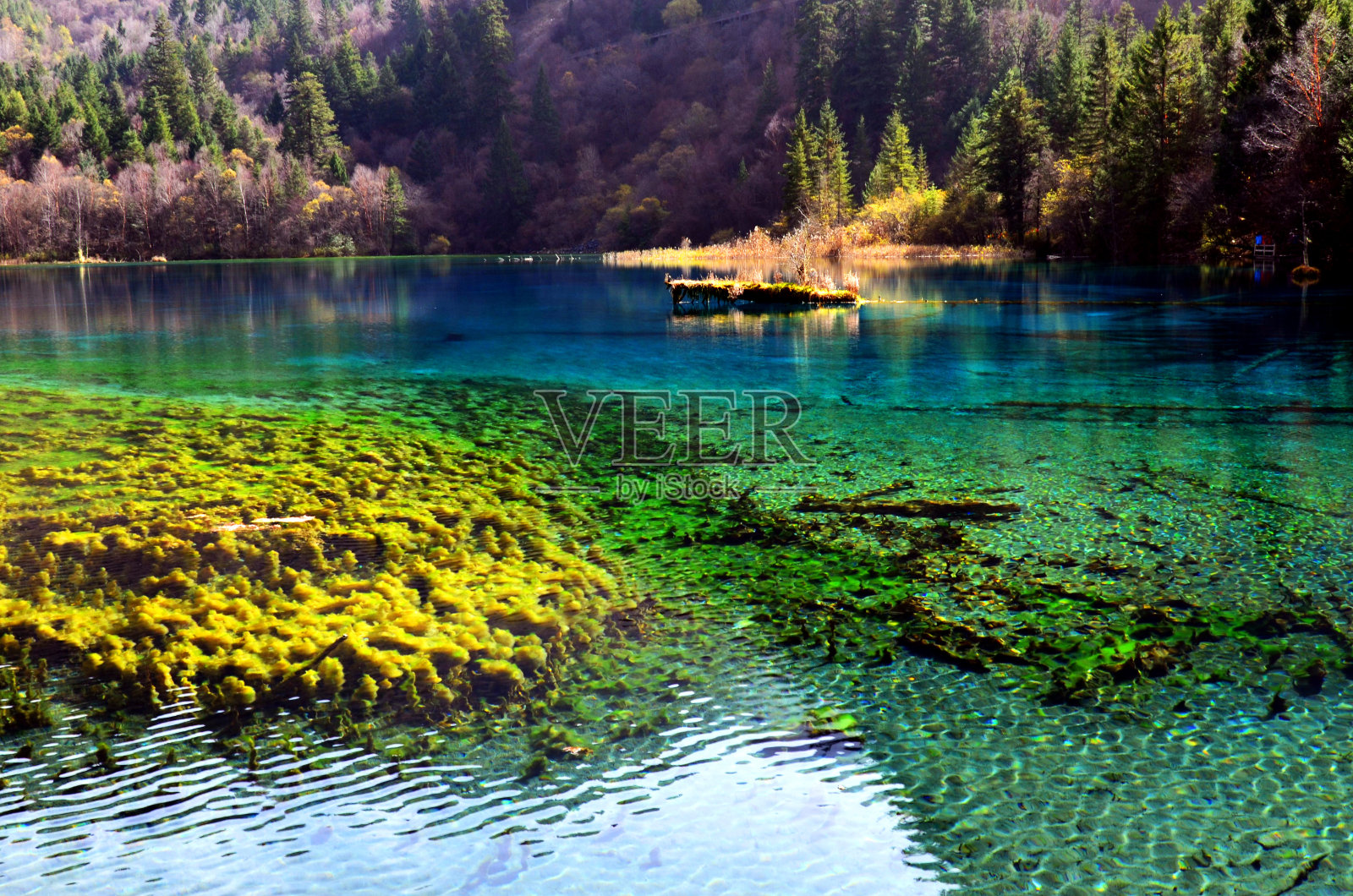 丰富多彩的秋天的九寨沟照片摄影图片