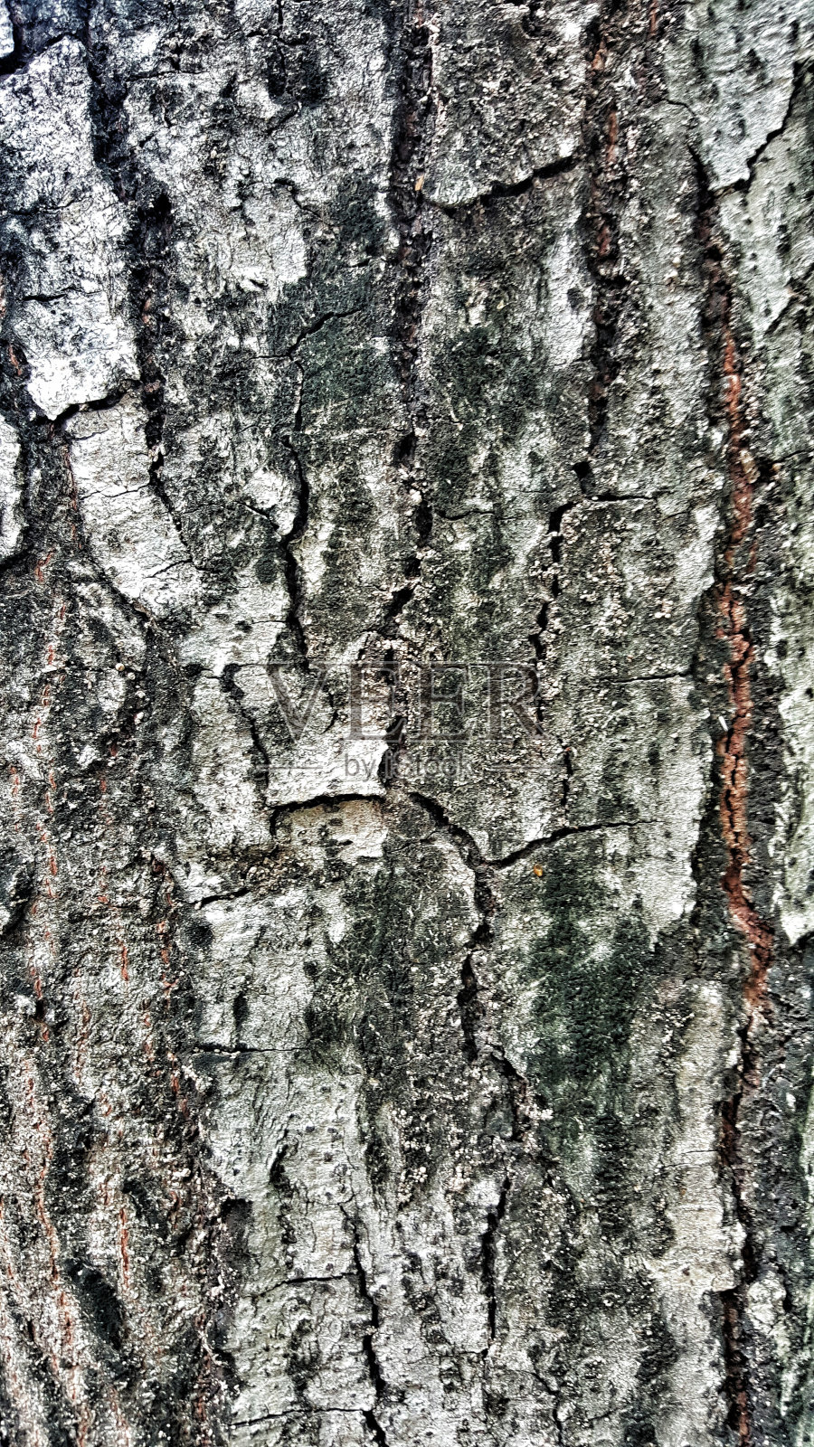 垃圾和老式木材,有潮湿的纹理照片摄影图片