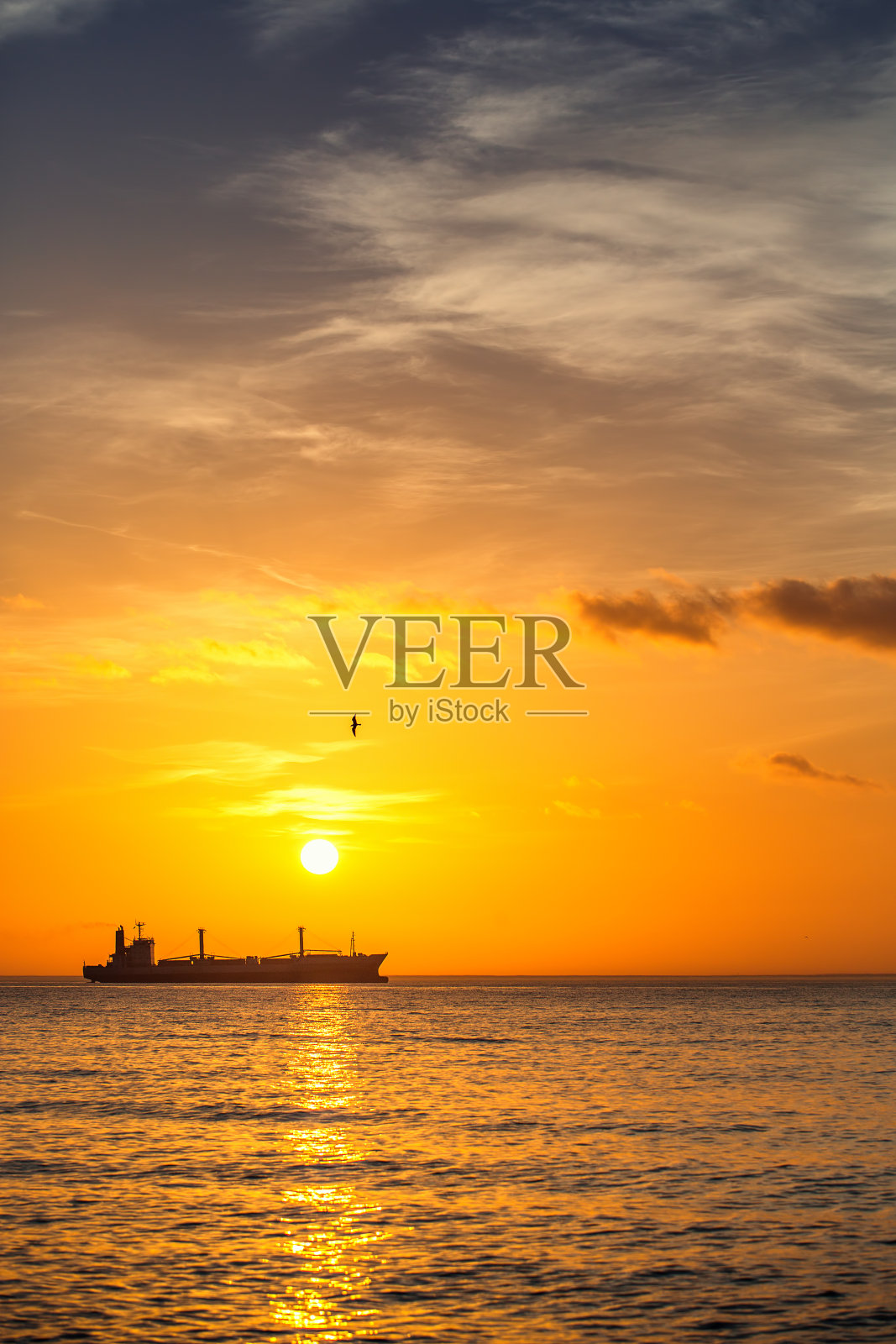 日出时分,一艘货船在海港附近航行照片摄影图片