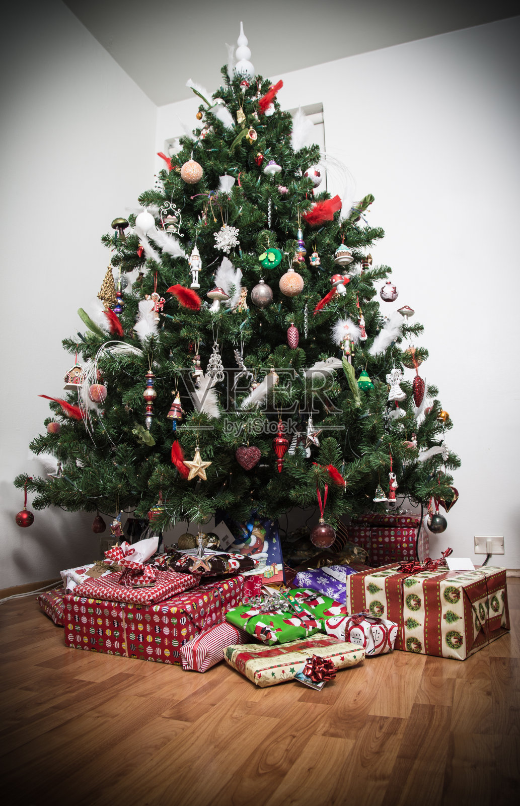 提出了在树下照片摄影图片