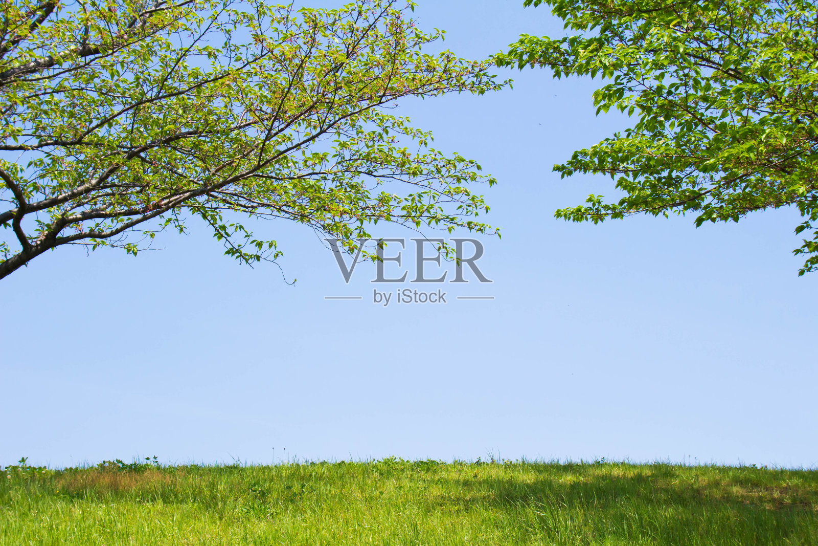 草原和天空照片摄影图片