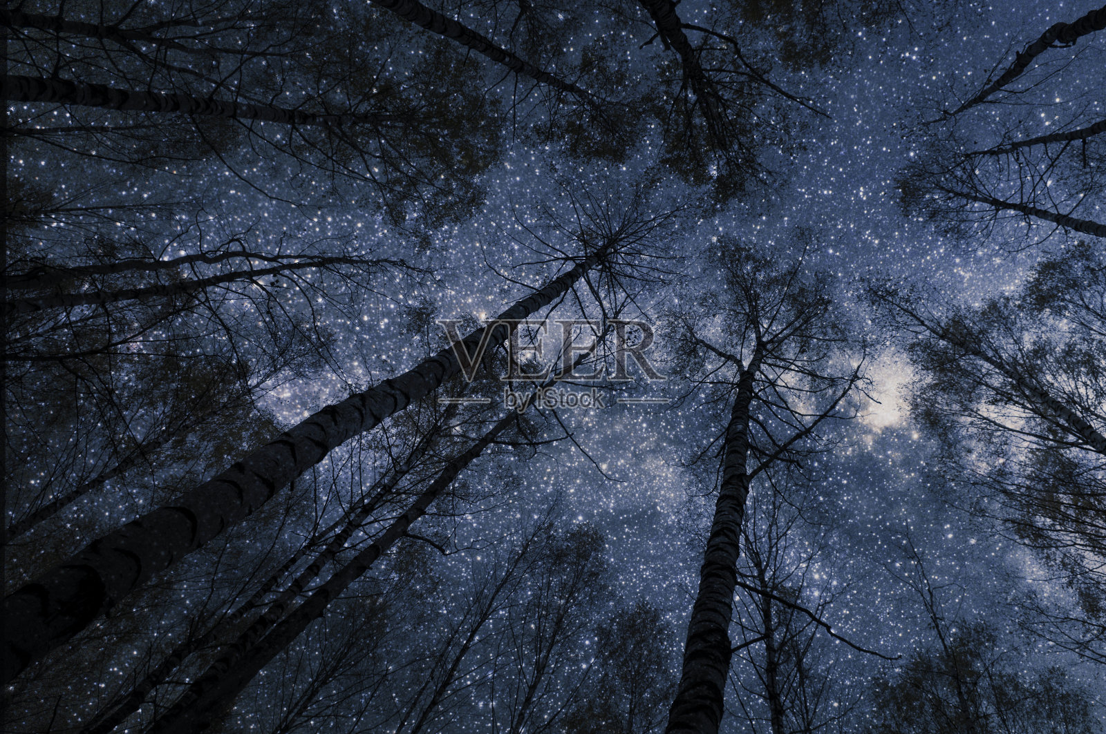 轮廓顶着星星。照片摄影图片