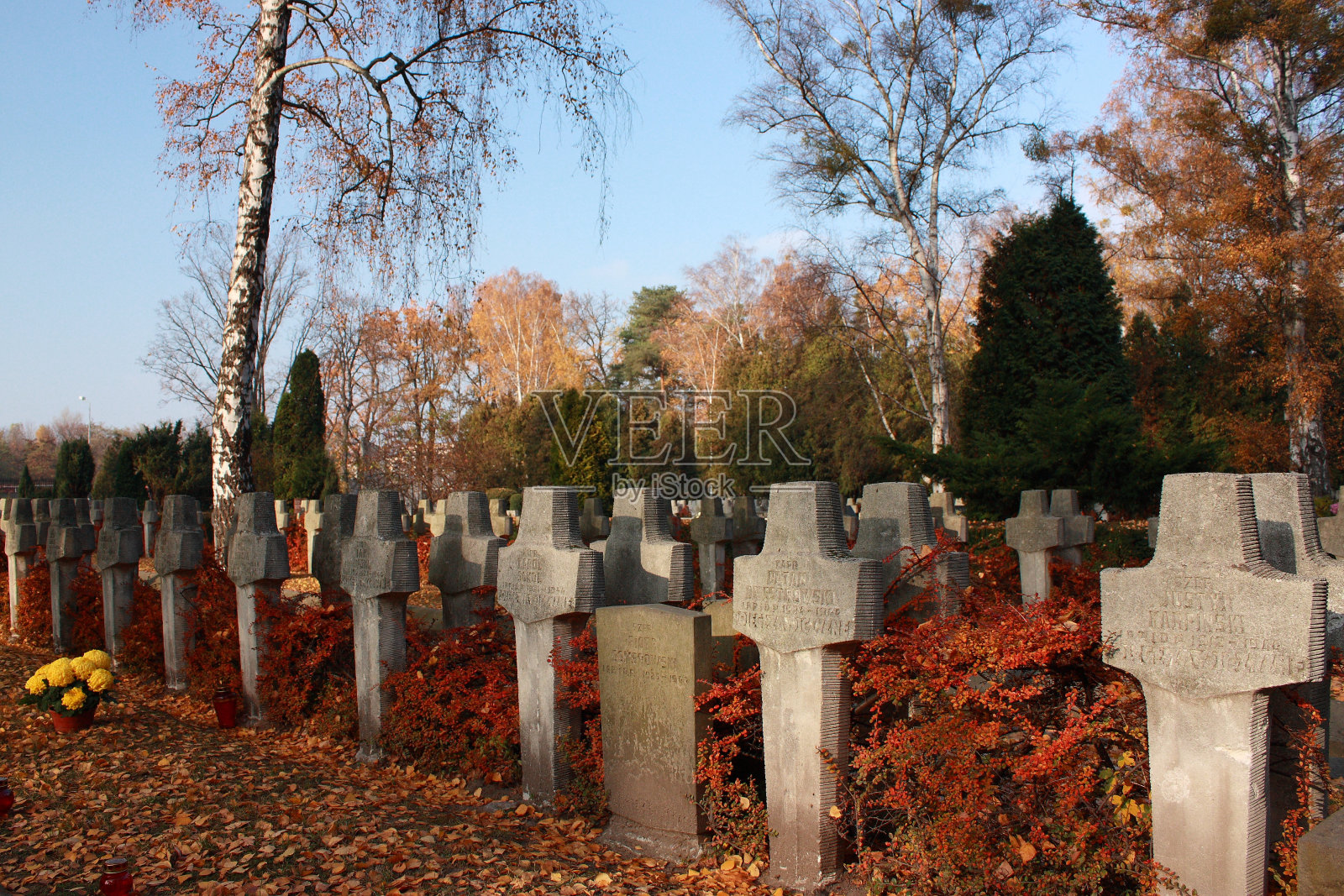 华沙(波兰),军事公墓,网址Powązki。照片摄影图片