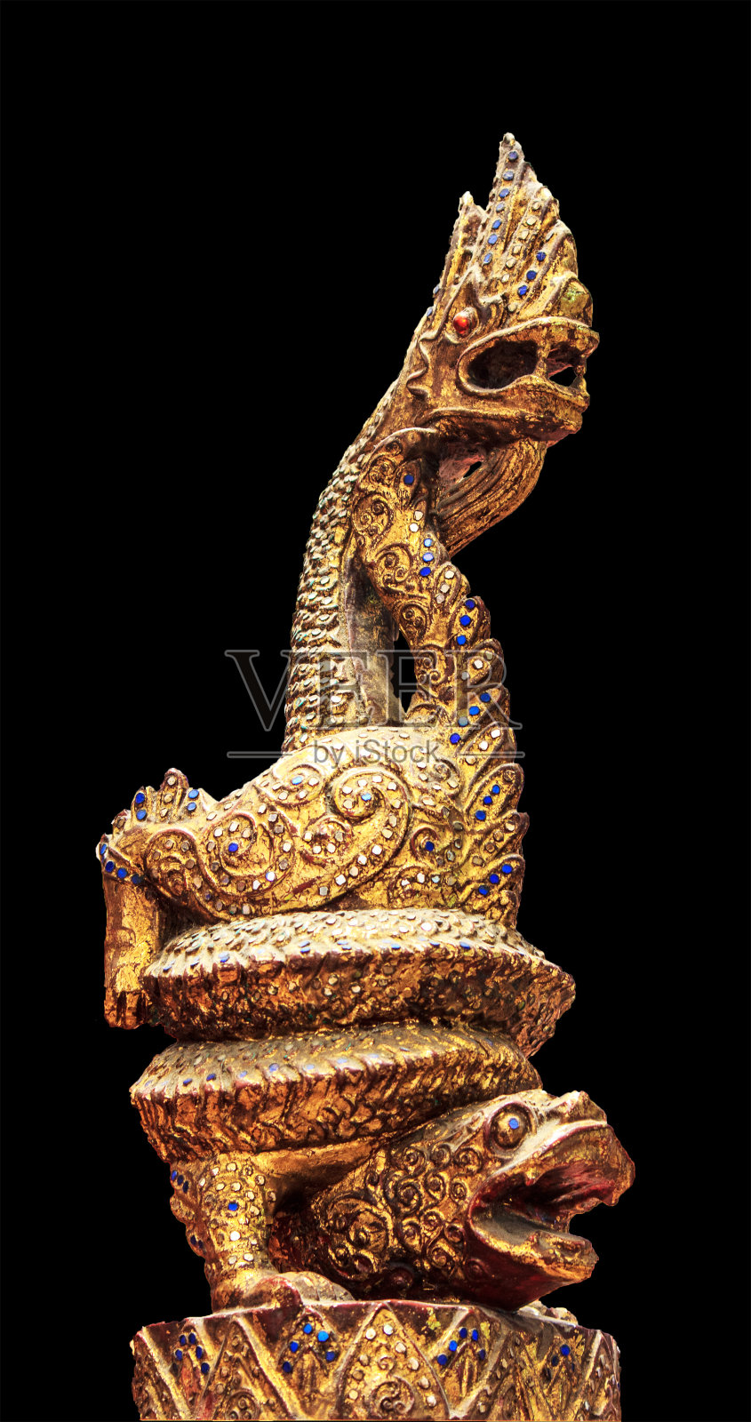 蛇照片摄影图片