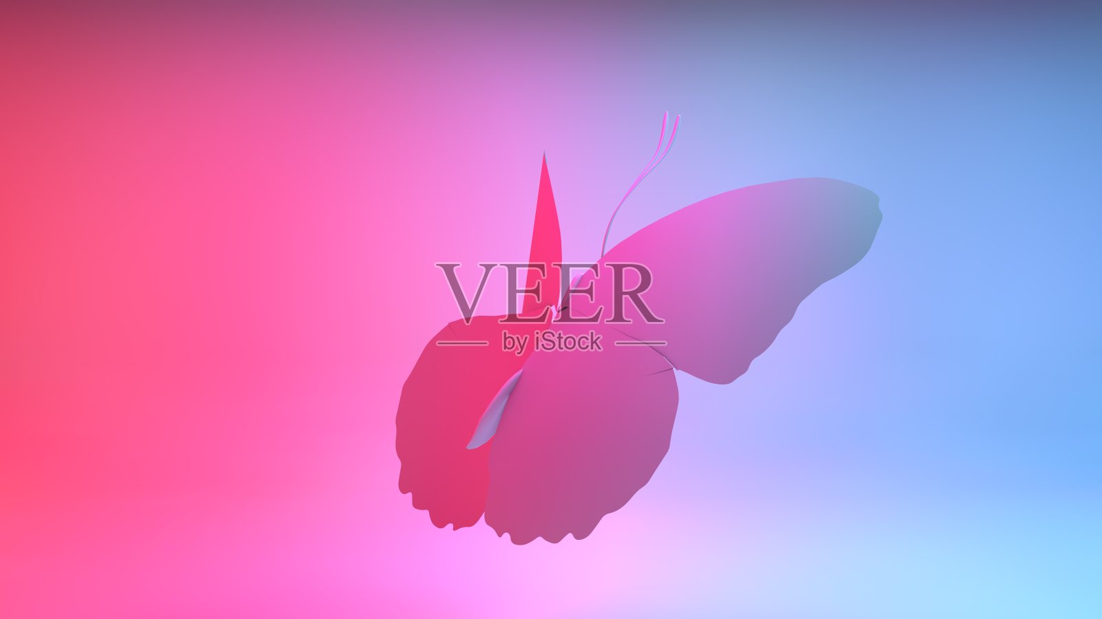 巴特弗利照片摄影图片