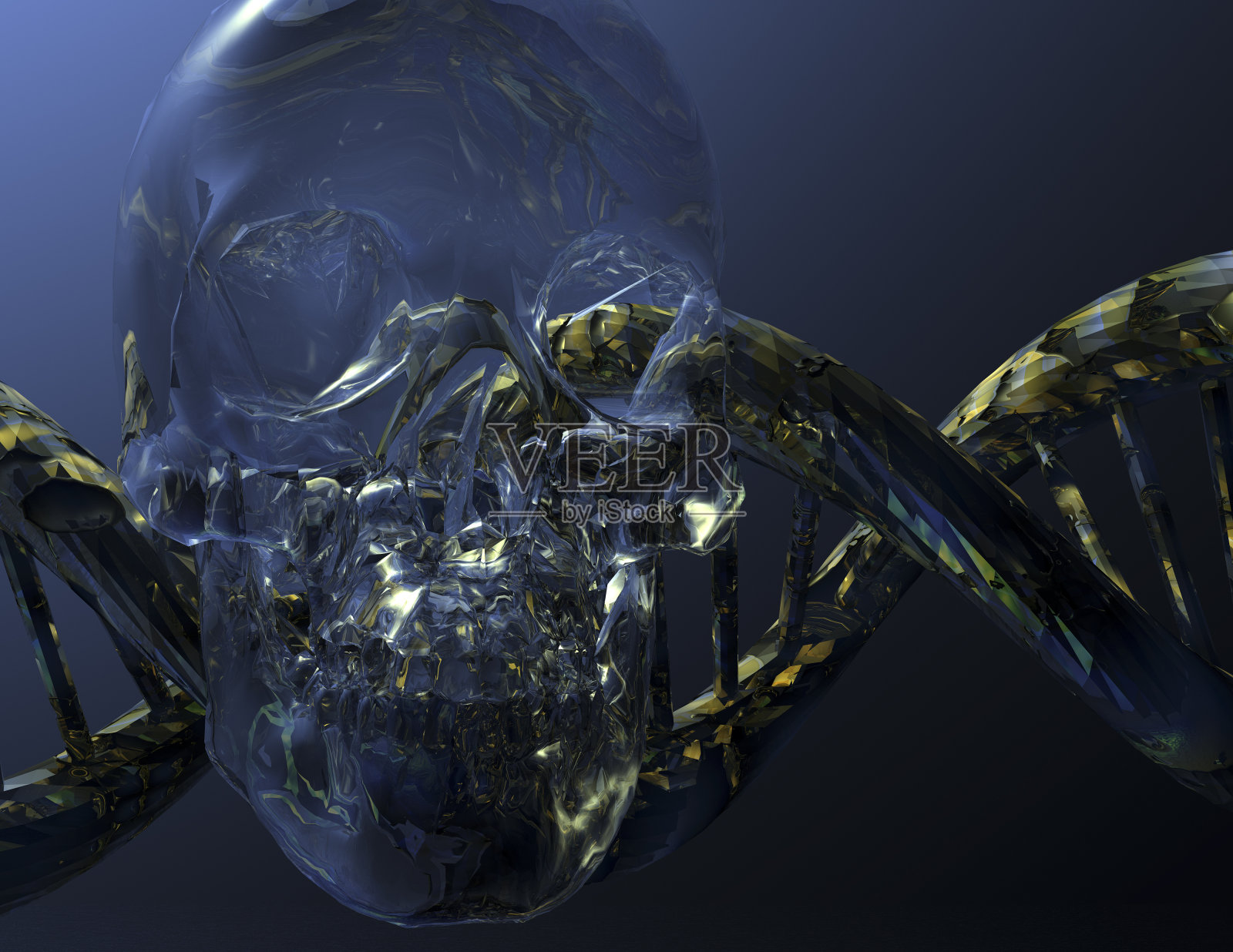 太太照片摄影图片