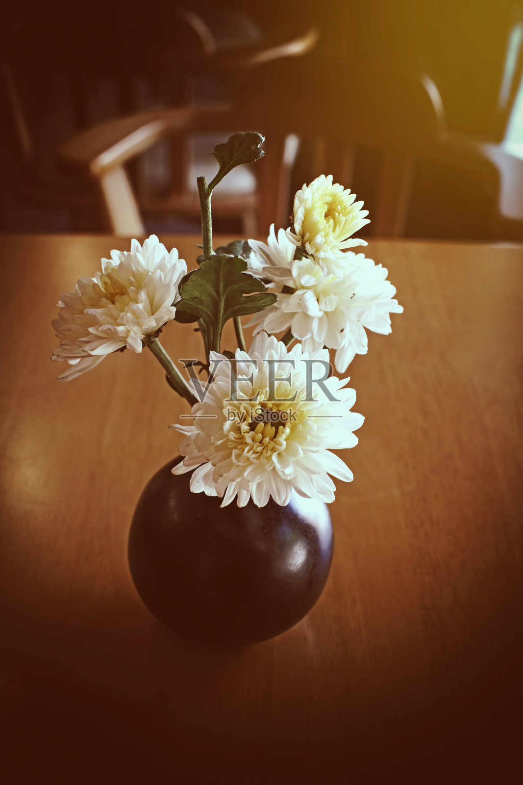 抽象的花背景在复古风格与软选择焦点。照片摄影图片