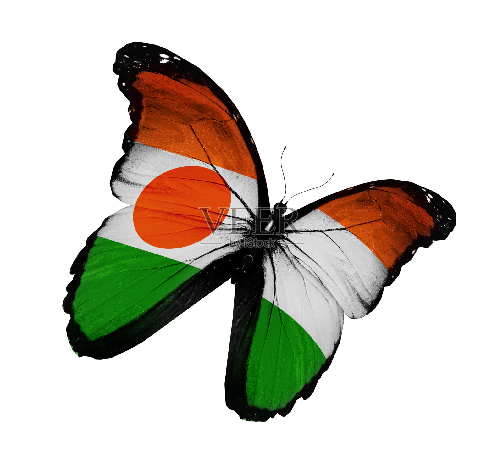 蝴蝶尼日尔旗飞舞,孤立在白色背景上照片摄影图片