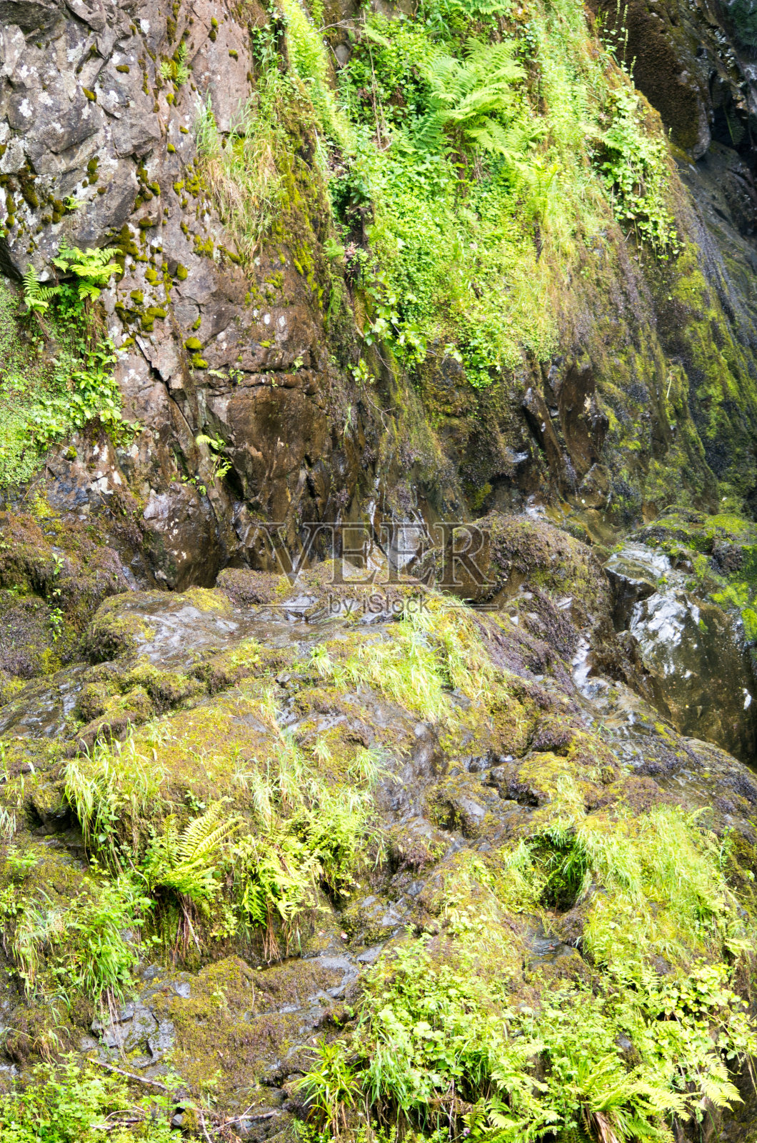 瀑布照片摄影图片