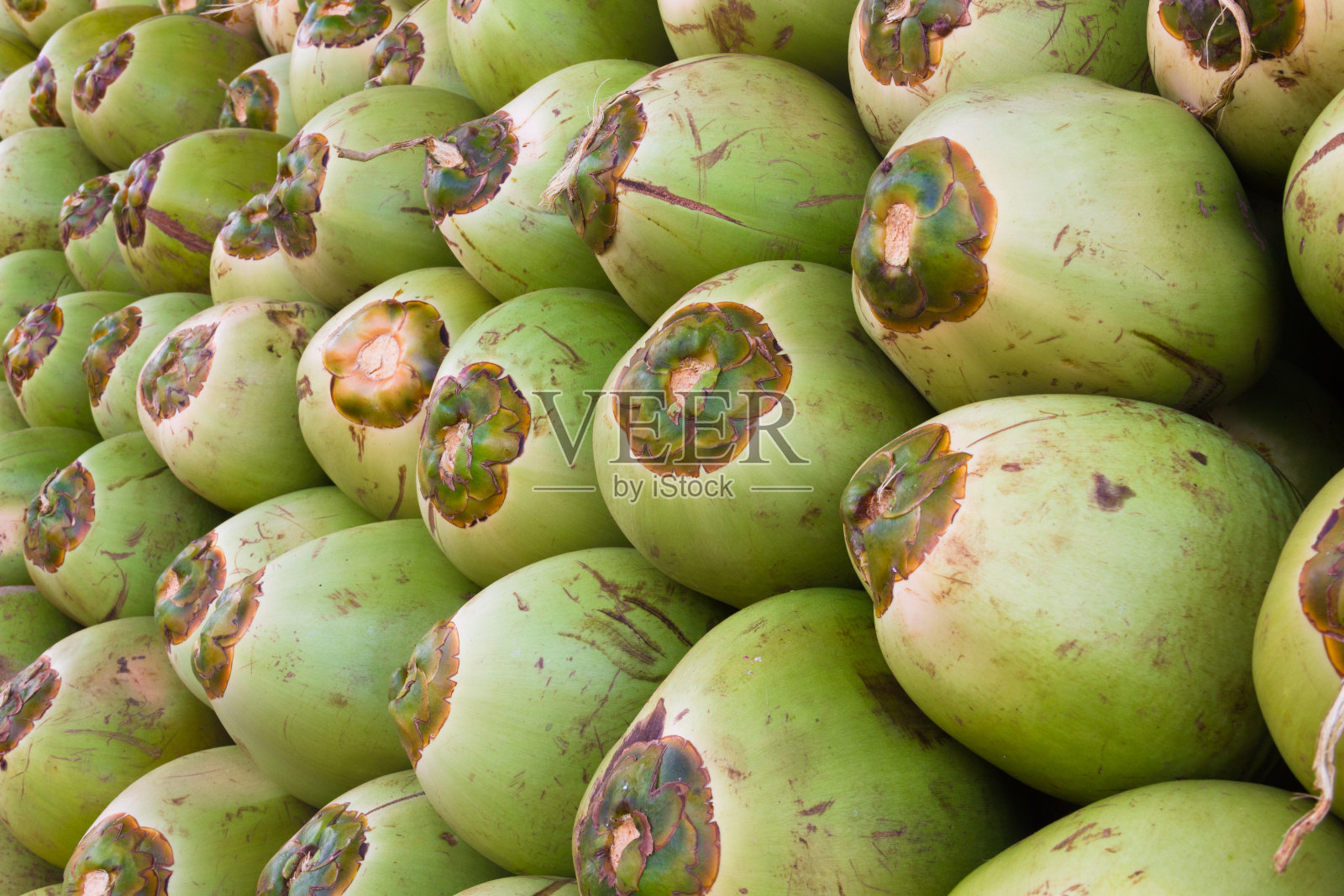 新鲜的椰子照片摄影图片