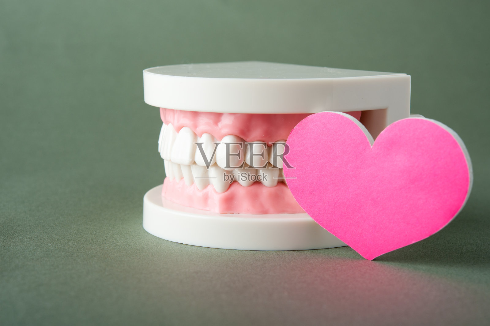 牙齿和心形的模型照片摄影图片