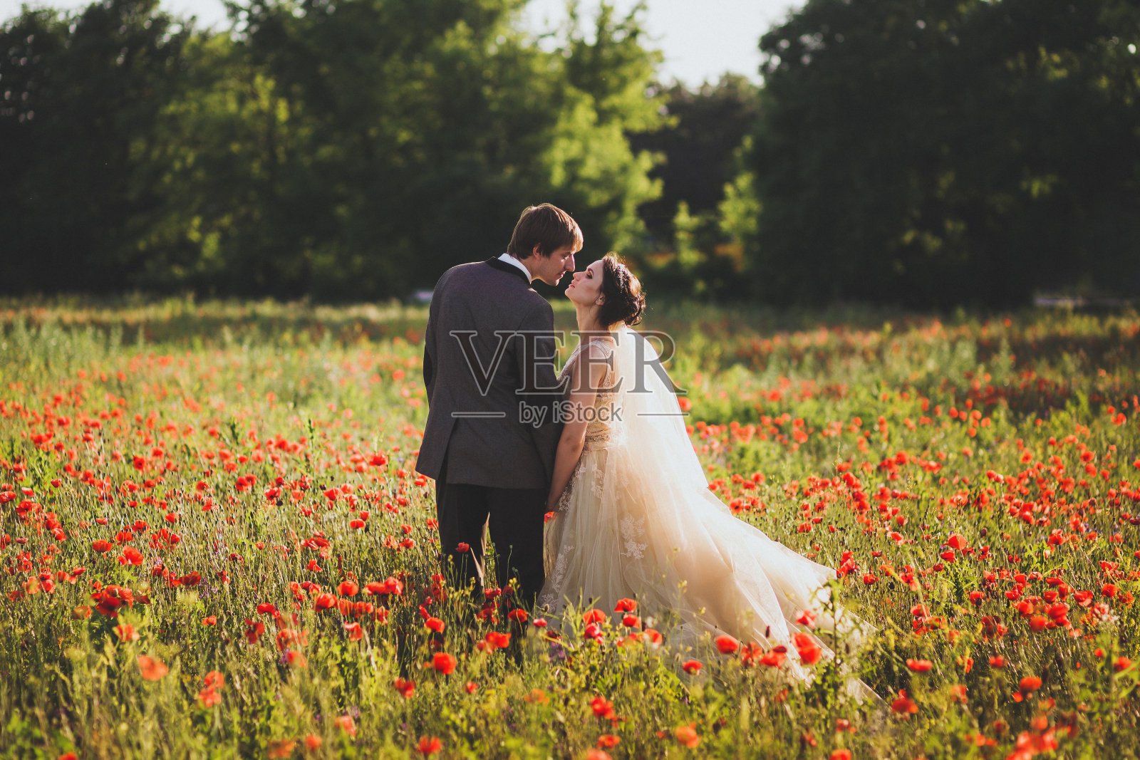 新婚夫妇漫步在令人惊叹的鲜花盛开的田野里。范围和全景周围照片摄影图片