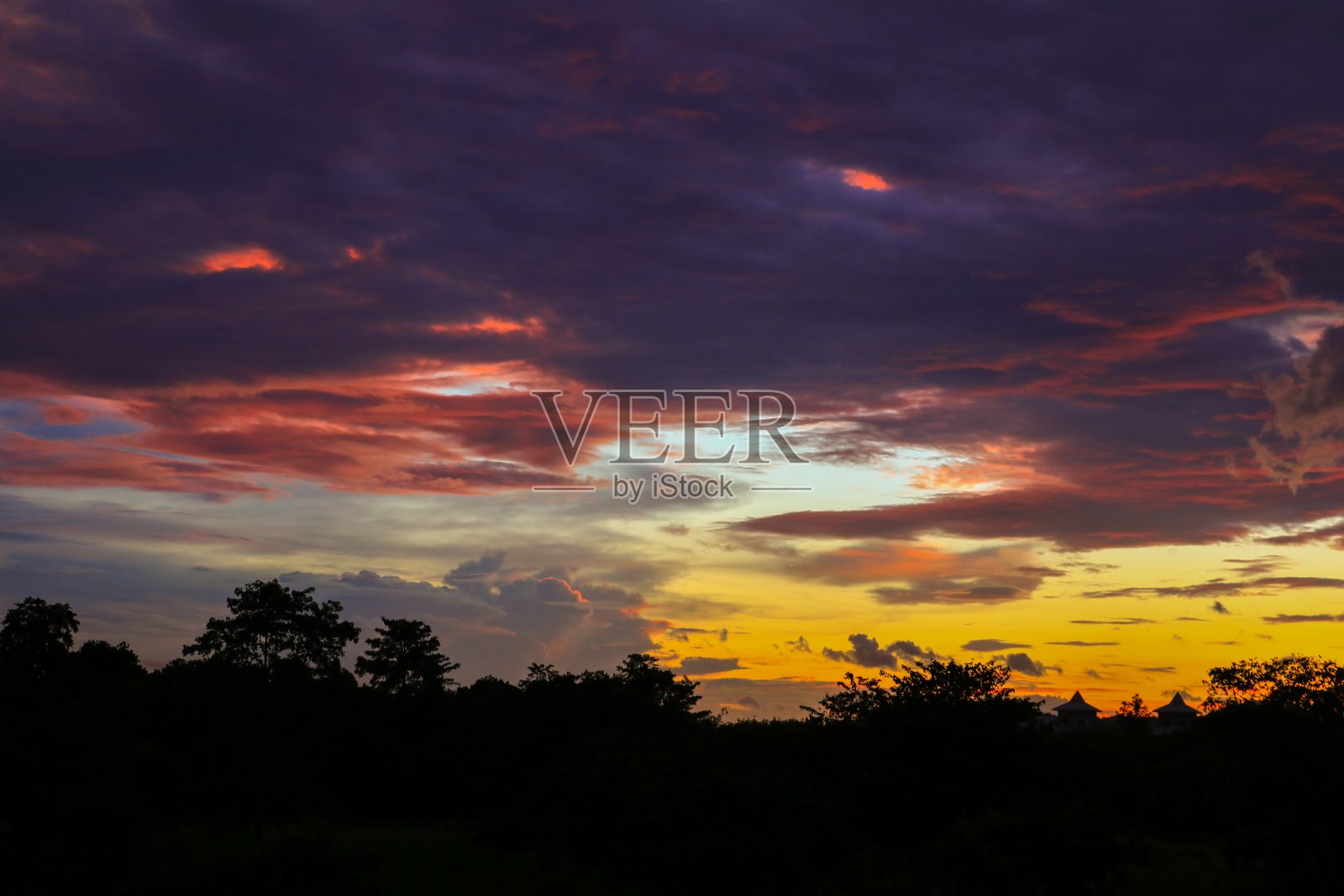 日落与剪影树在林地和天空彩色美丽的傍晚在自然照片摄影图片