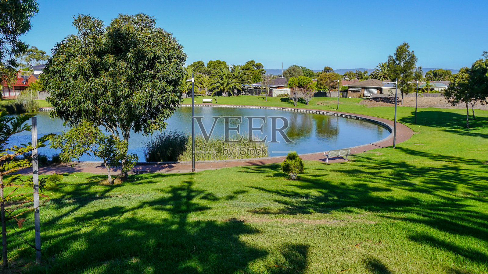 2017年1月,在澳大利亚阿德莱德以南的海峡岸边,公园里有美丽的树木。壁画照片摄影图片