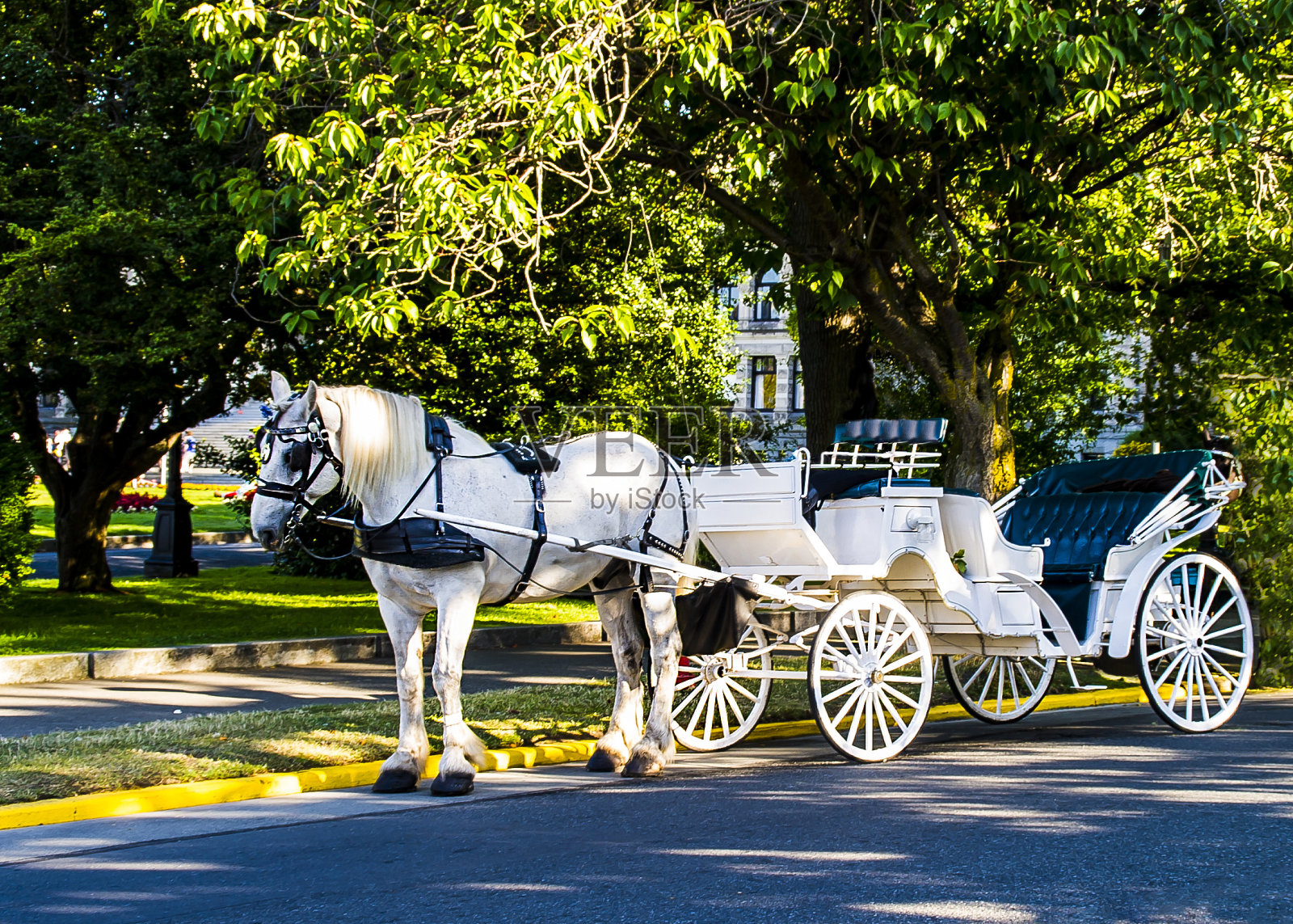 想坐童车吗?照片摄影图片