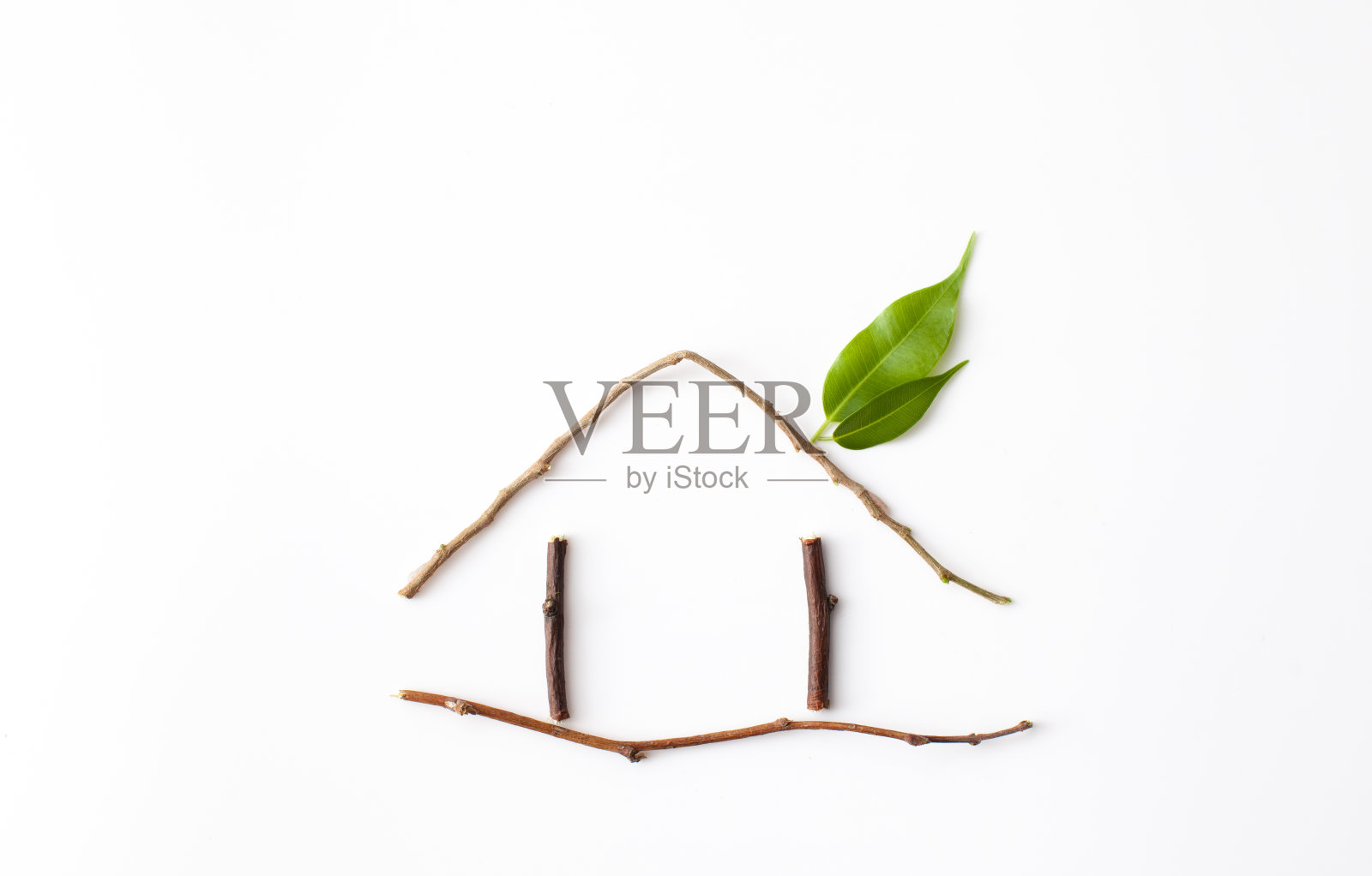 绿色的房子,树枝和绿色的叶子在白色照片摄影图片