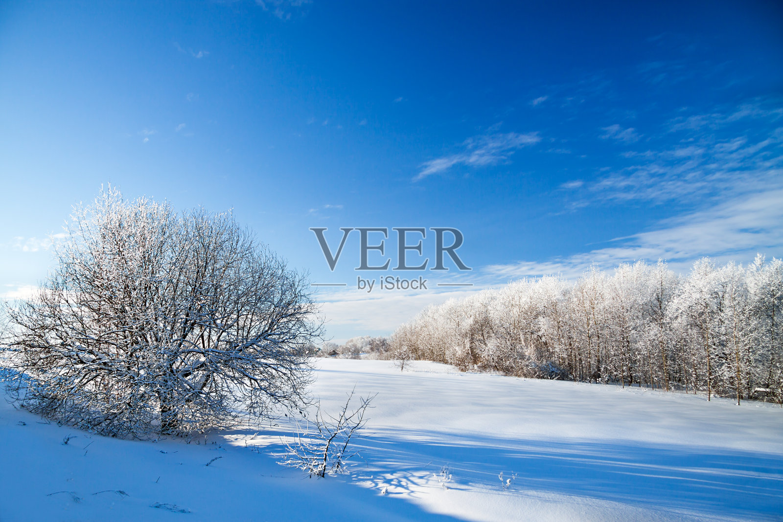 冬天农村景观照片摄影图片