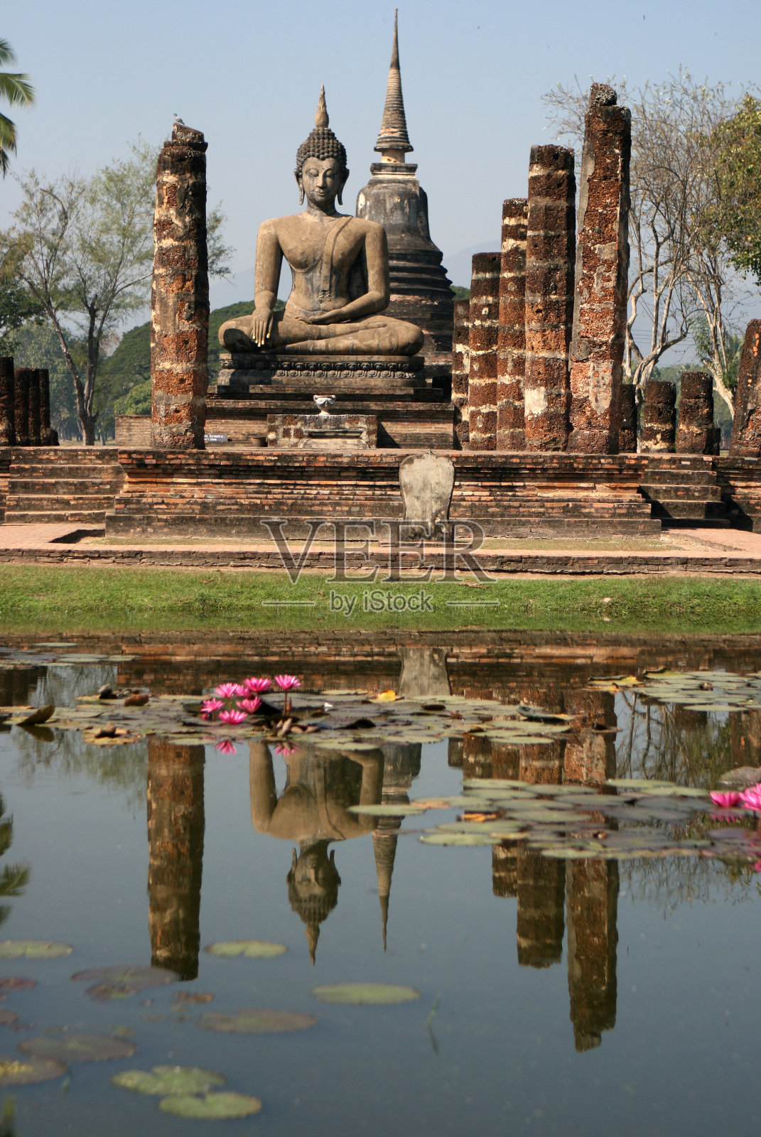 素照片摄影图片