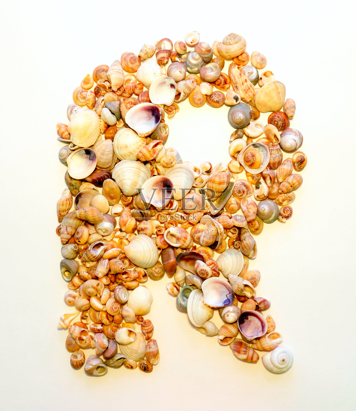 字母R。照片摄影图片