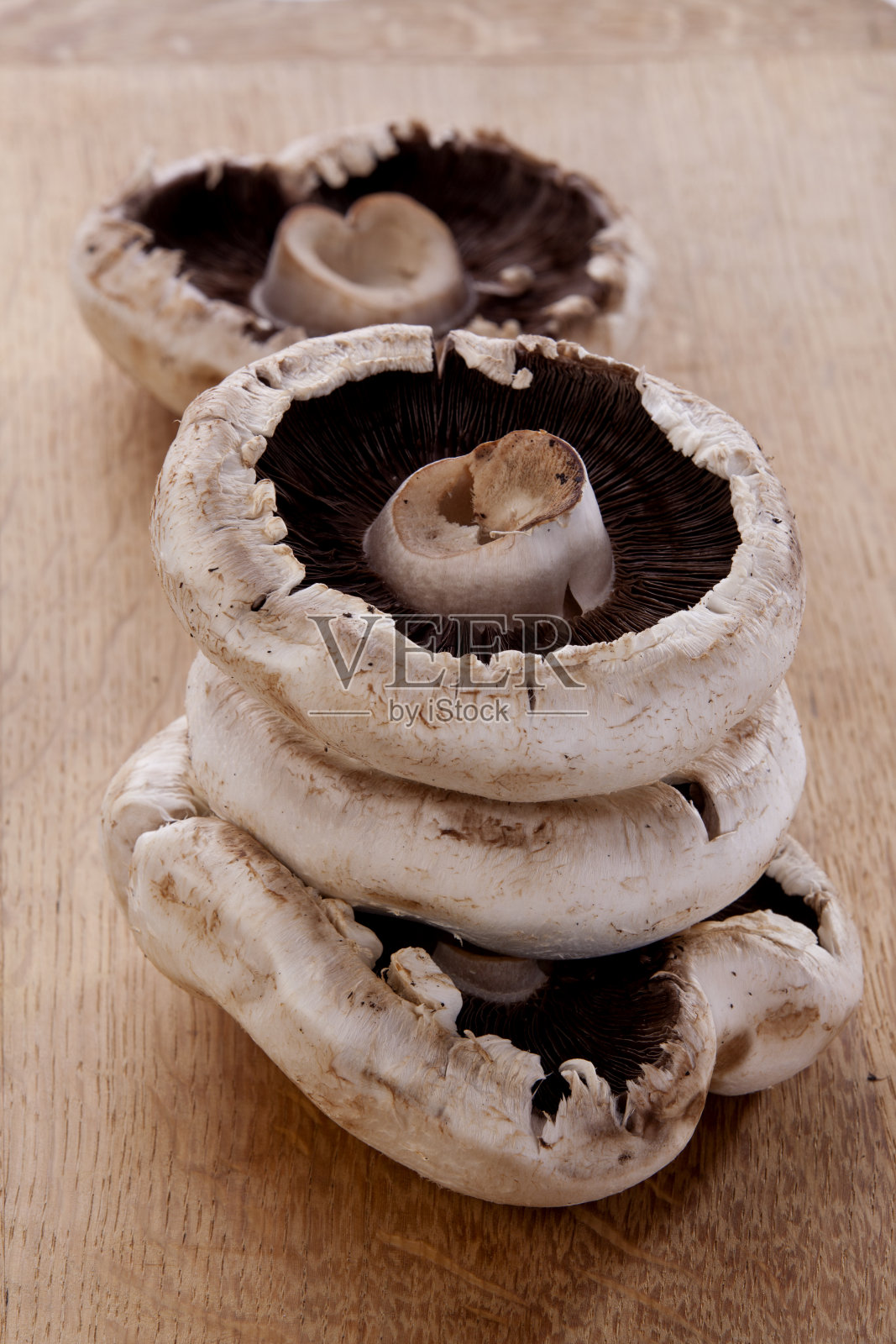 蘑菇照片摄影图片