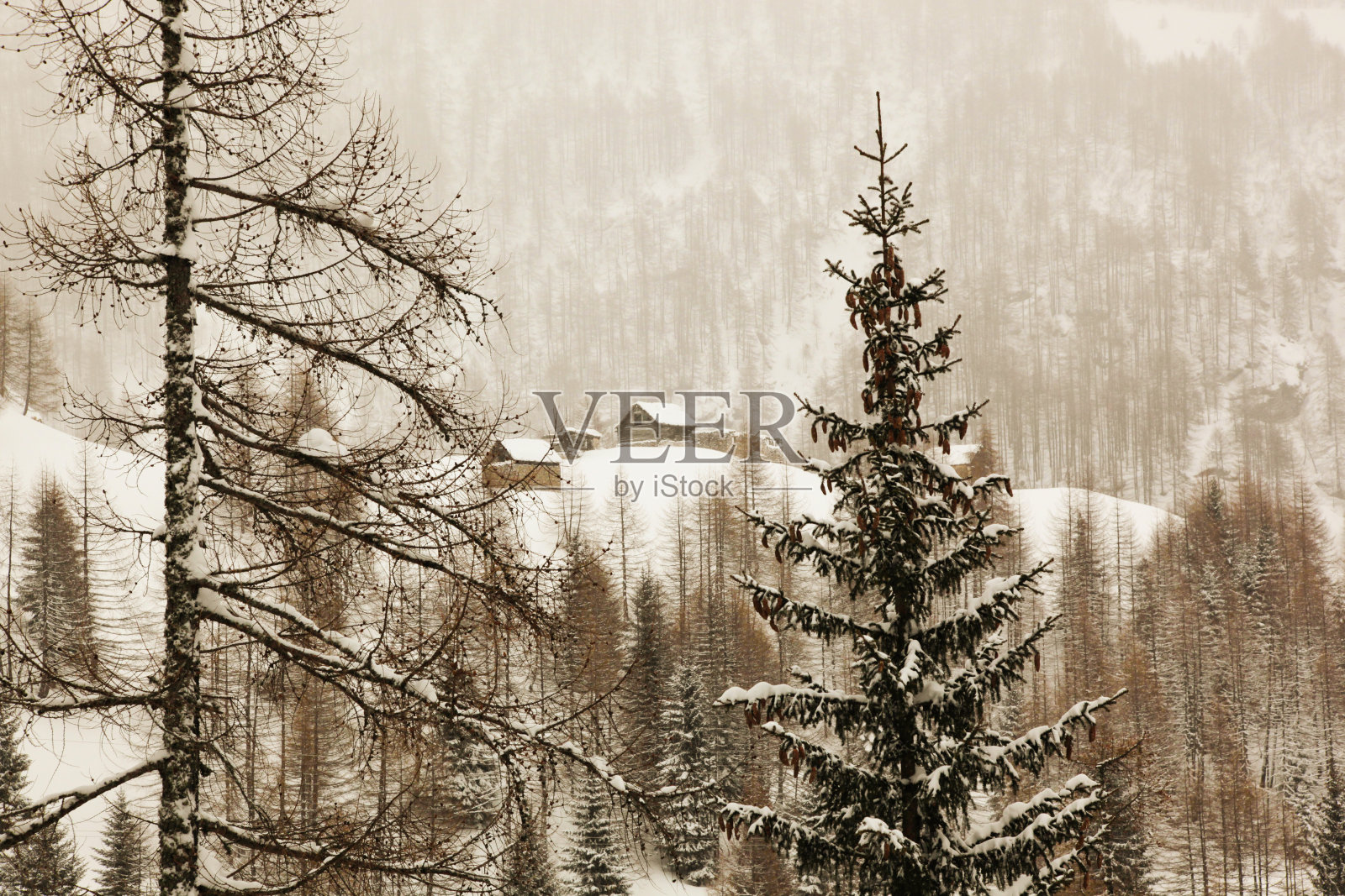 阿尔卑斯山脉照片摄影图片