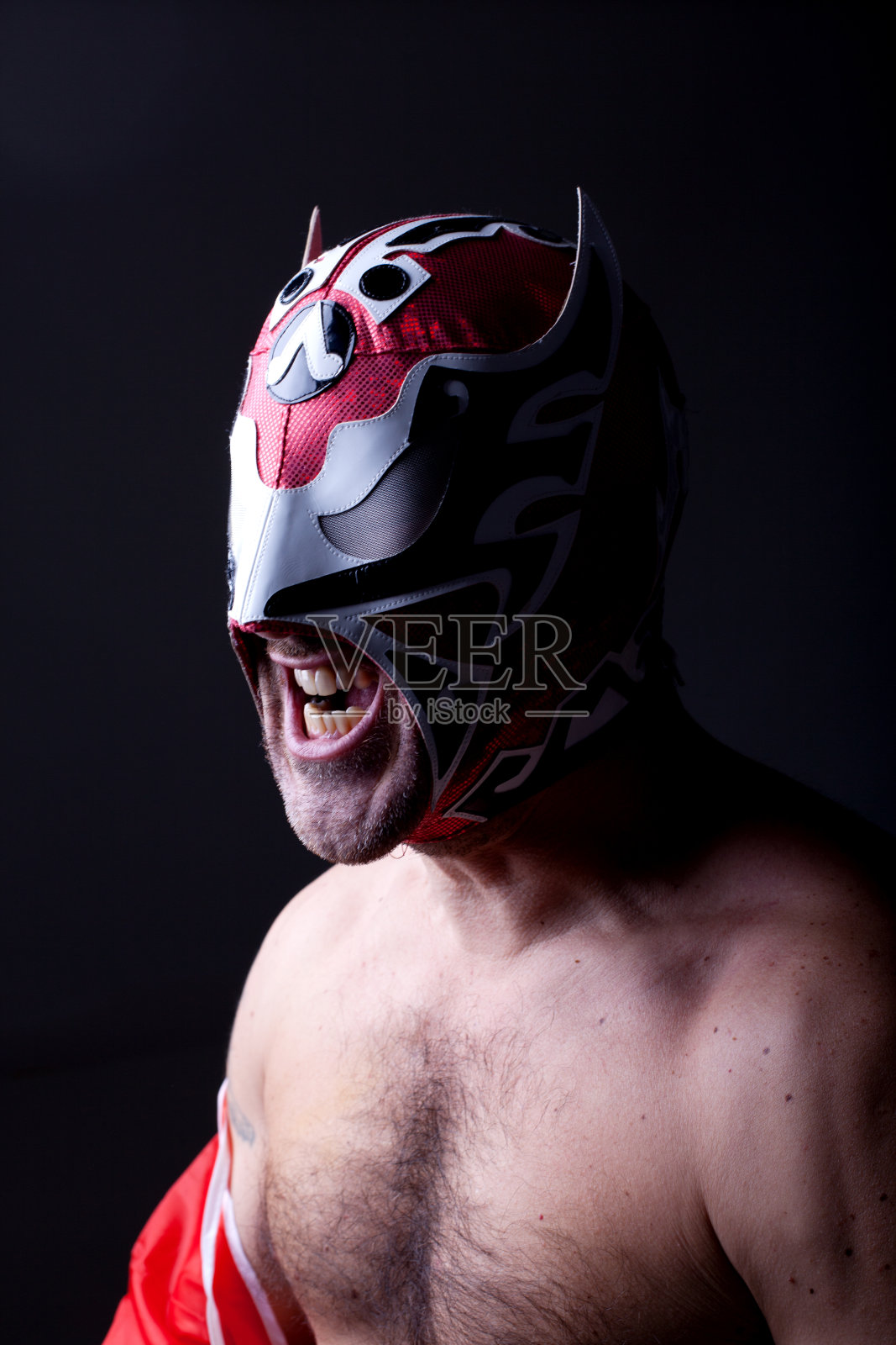 意大利Luchador咆哮照片摄影图片