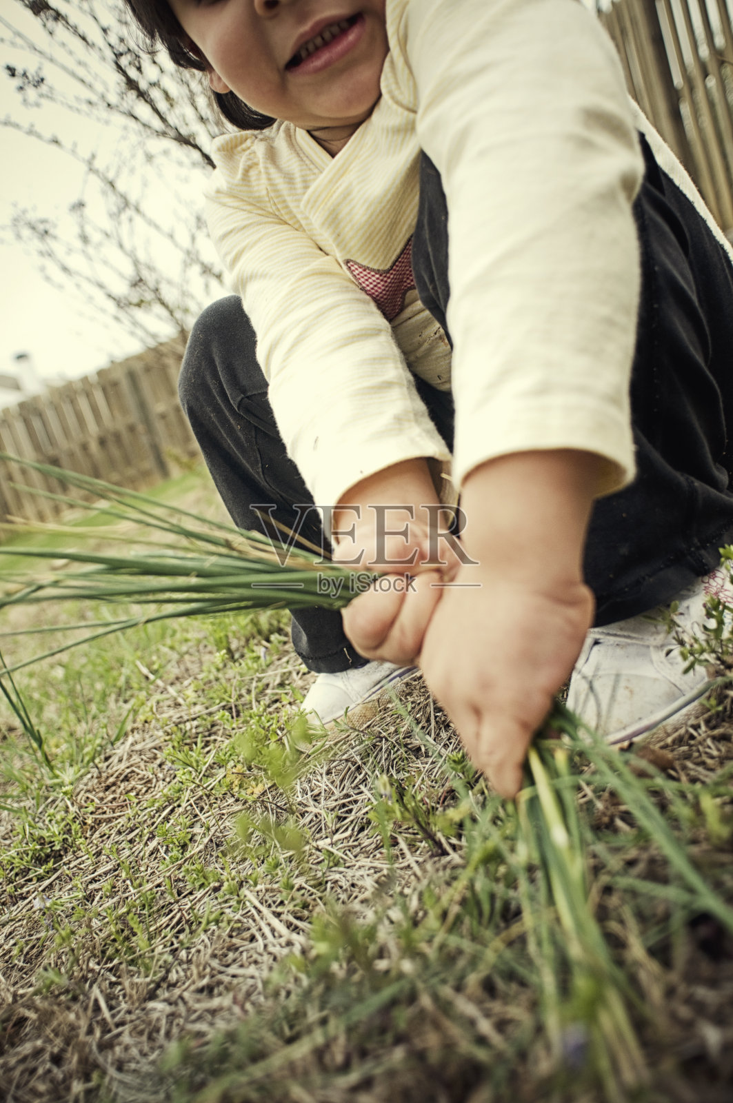 把杂草照片摄影图片