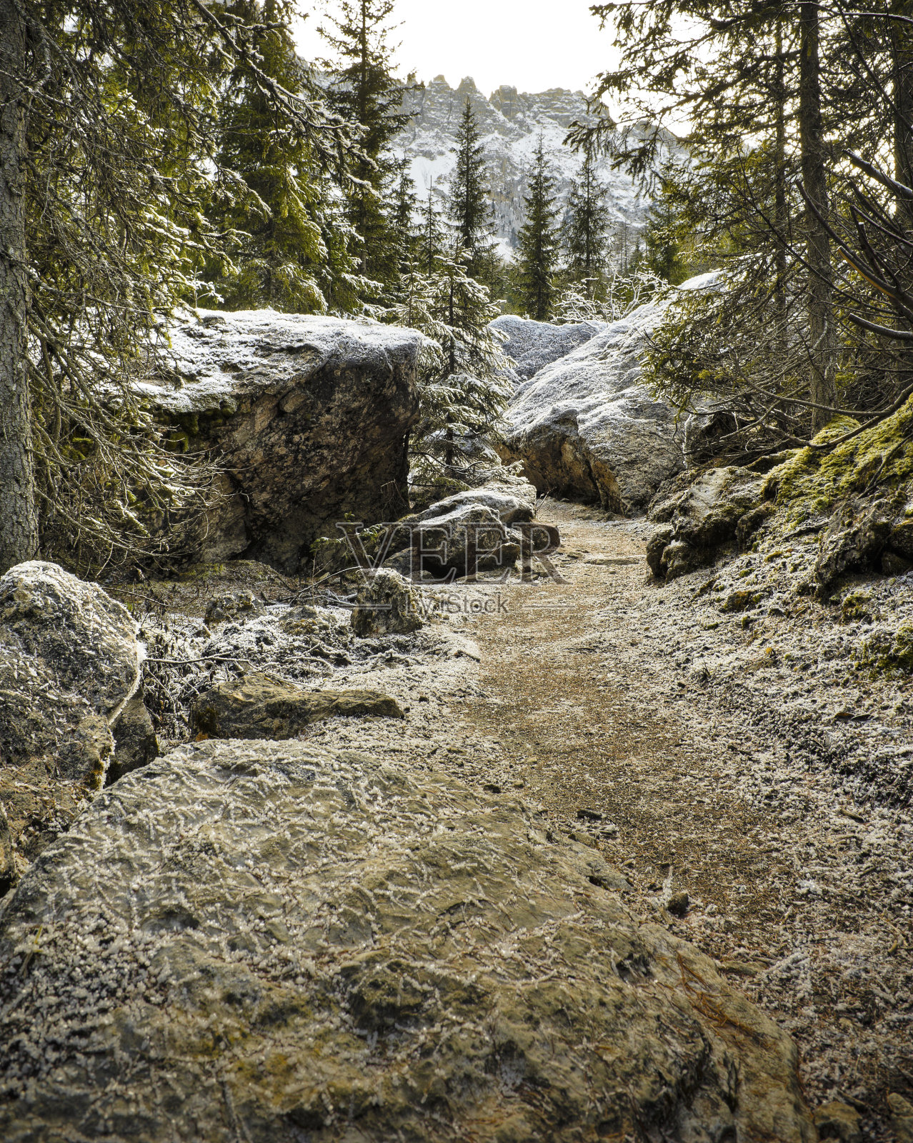 冰冻的小径照片摄影图片