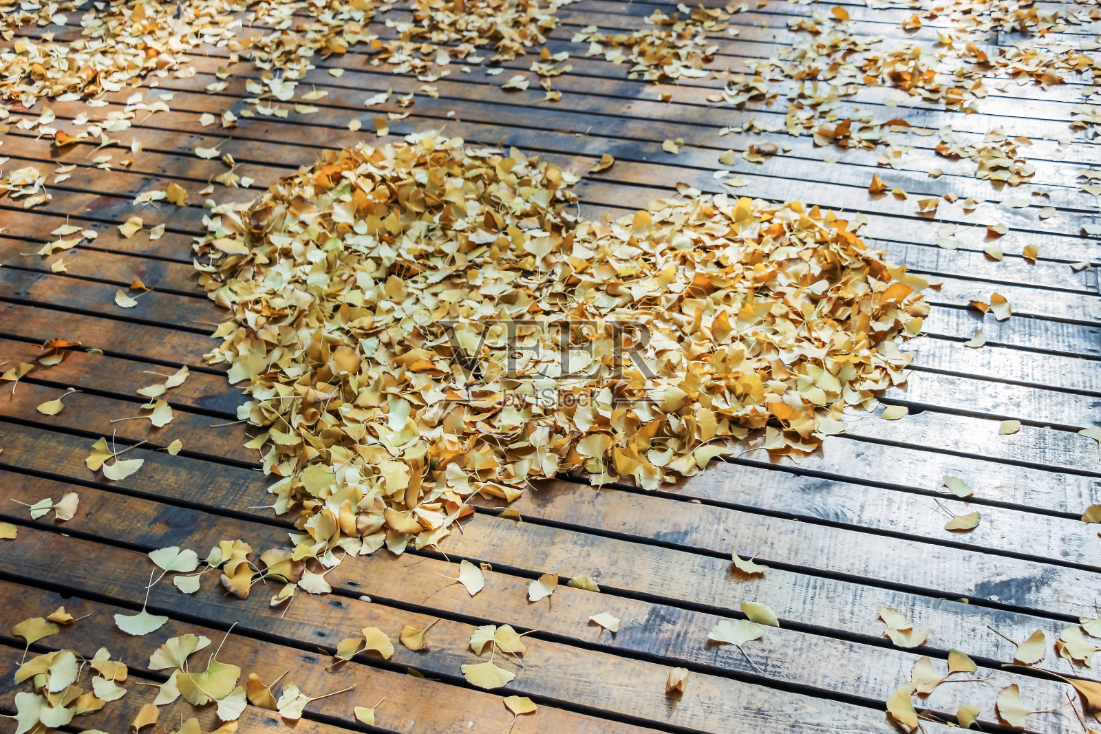 落下的银杏叶心形照片摄影图片